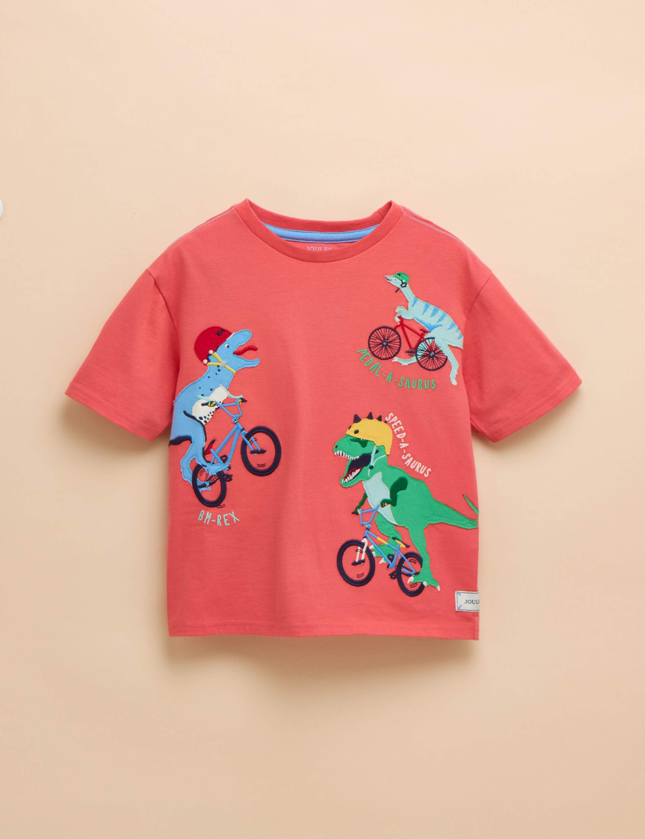 Pure Cotton Dinosaur T-Shirt (1-9 Yrs)