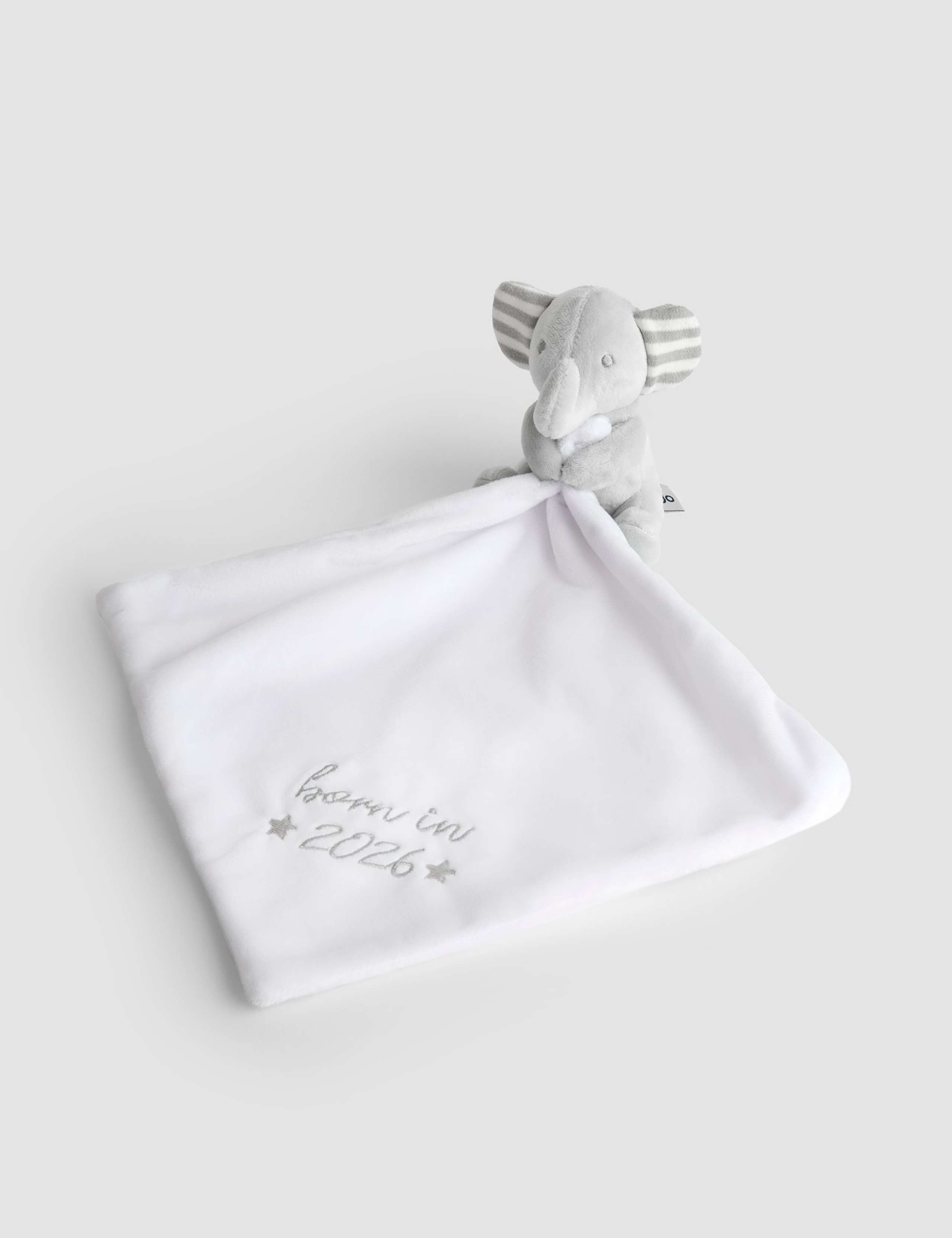 Born In 2026 Comforter (0+ Yrs)