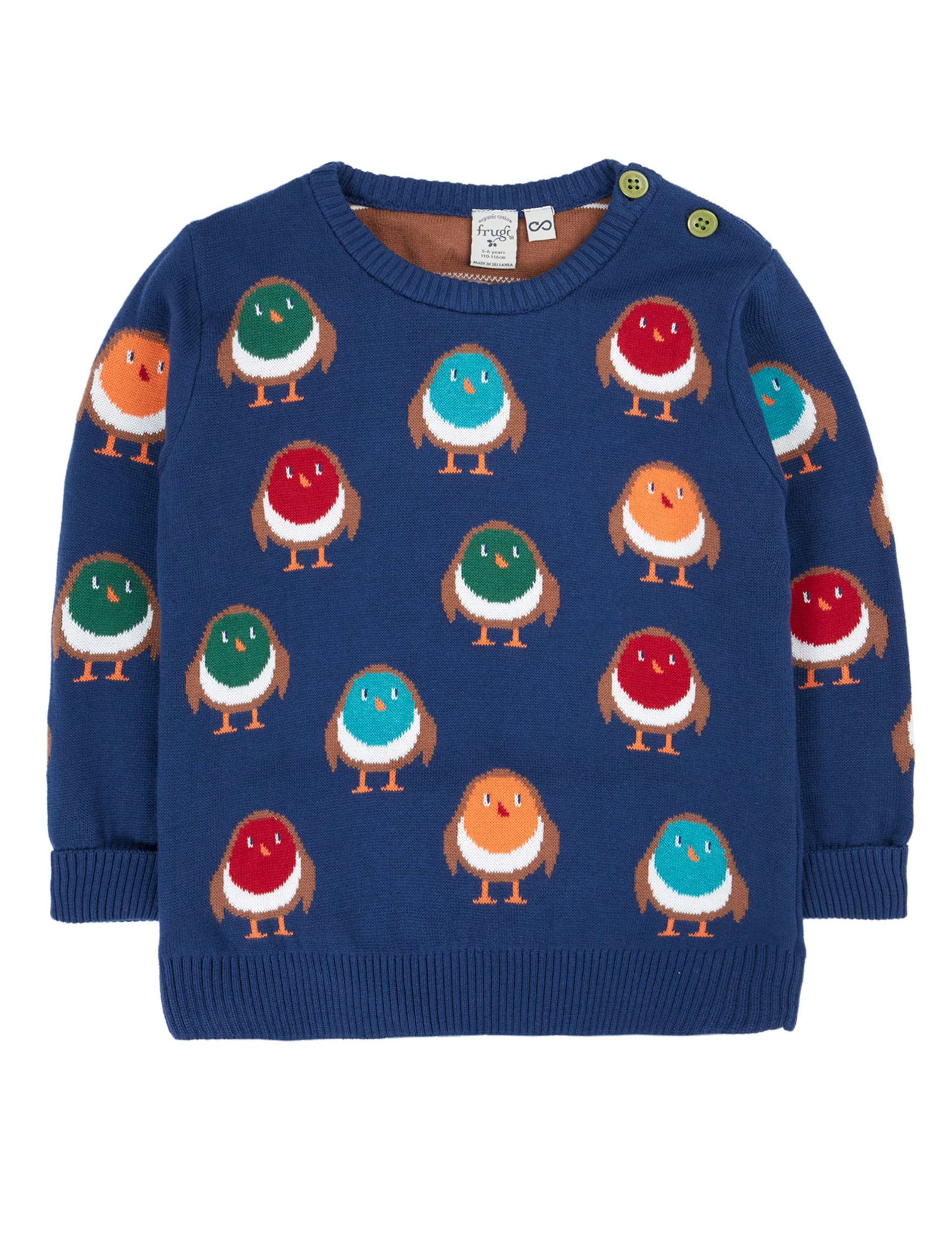 Pure Cotton Robin Knitted Jumper (0-12 Yrs)