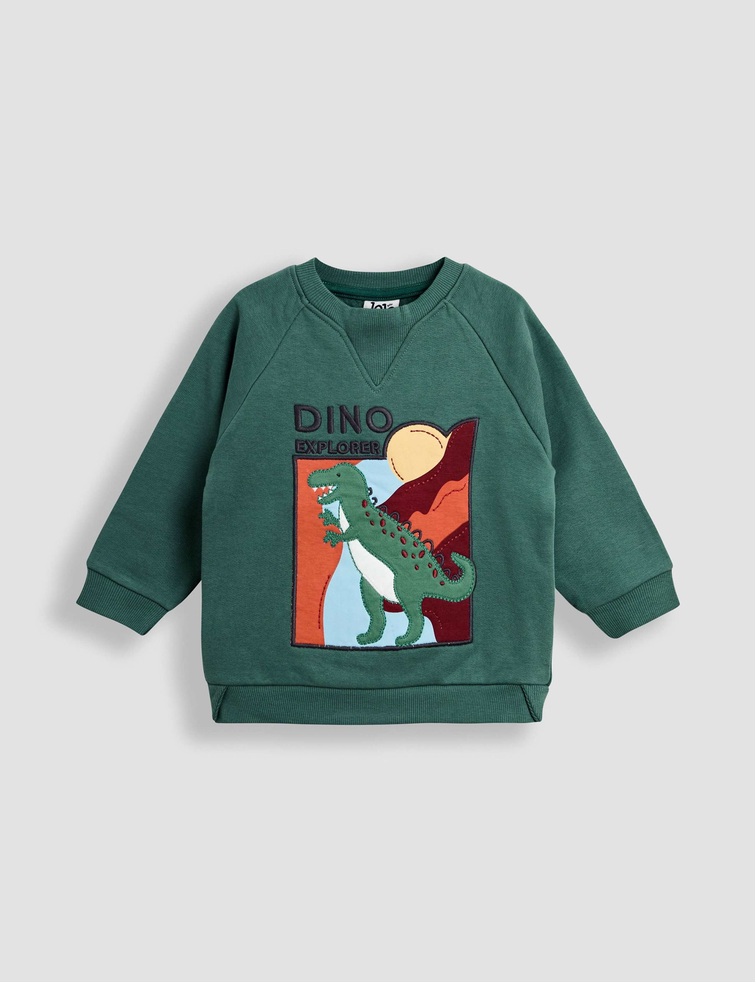 Cotton Rich T-Rex Applique Sweatshirt (6 Mths-7 Yrs)