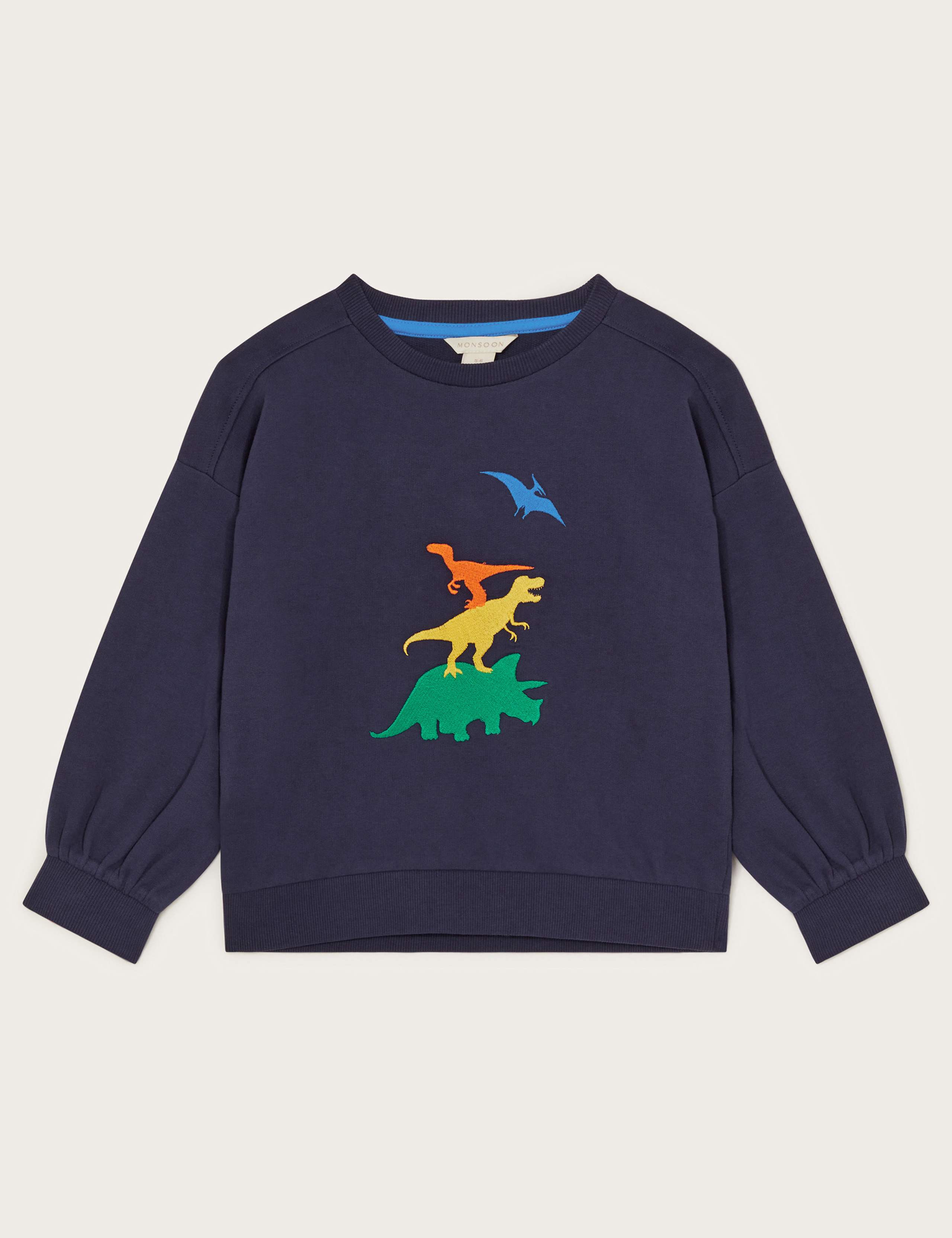 Pure Cotton Dinosaur Sweatshirt (2-13 Yrs)