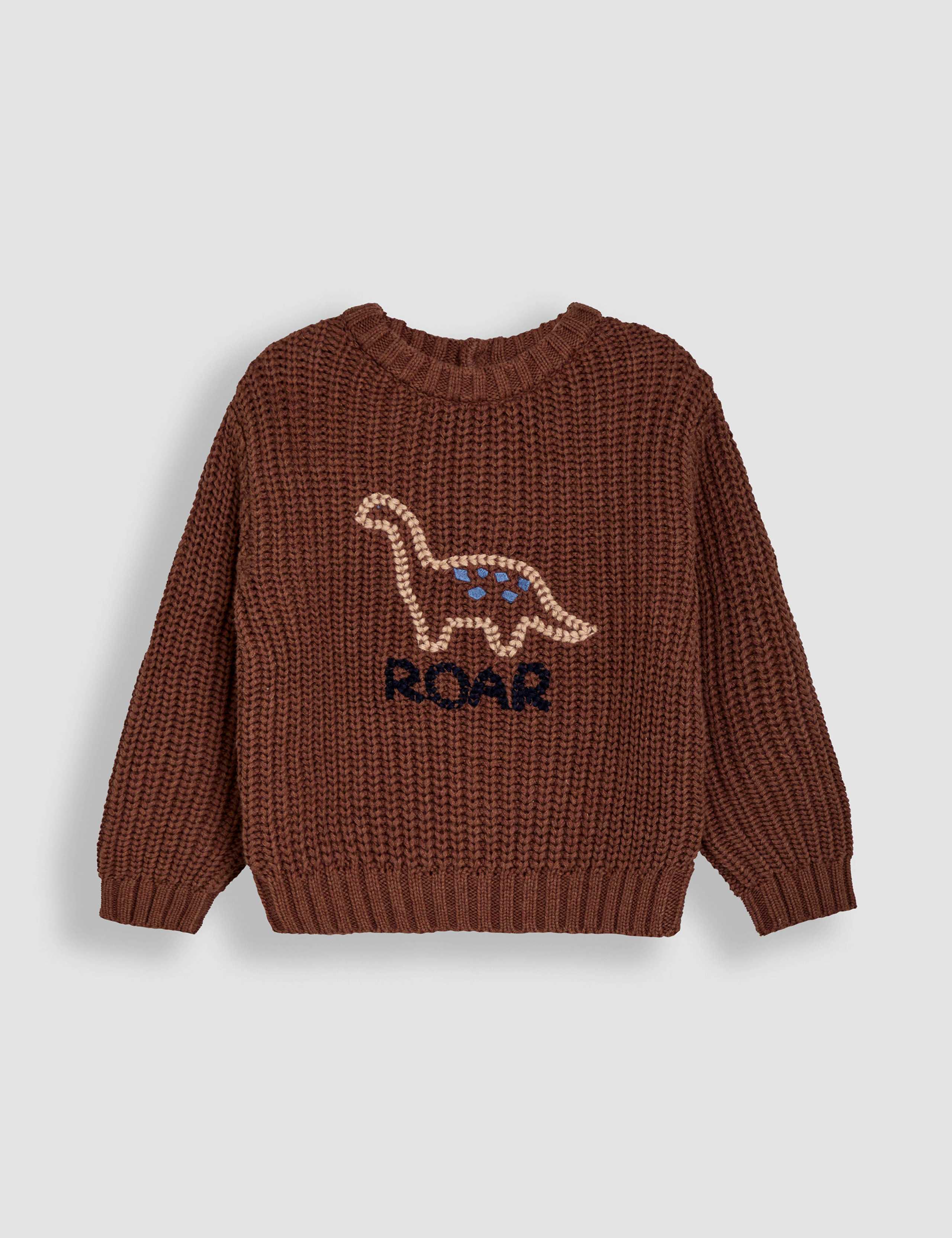 Pure Cotton Dinosaur Jumper (0 Mths-5 Yrs)