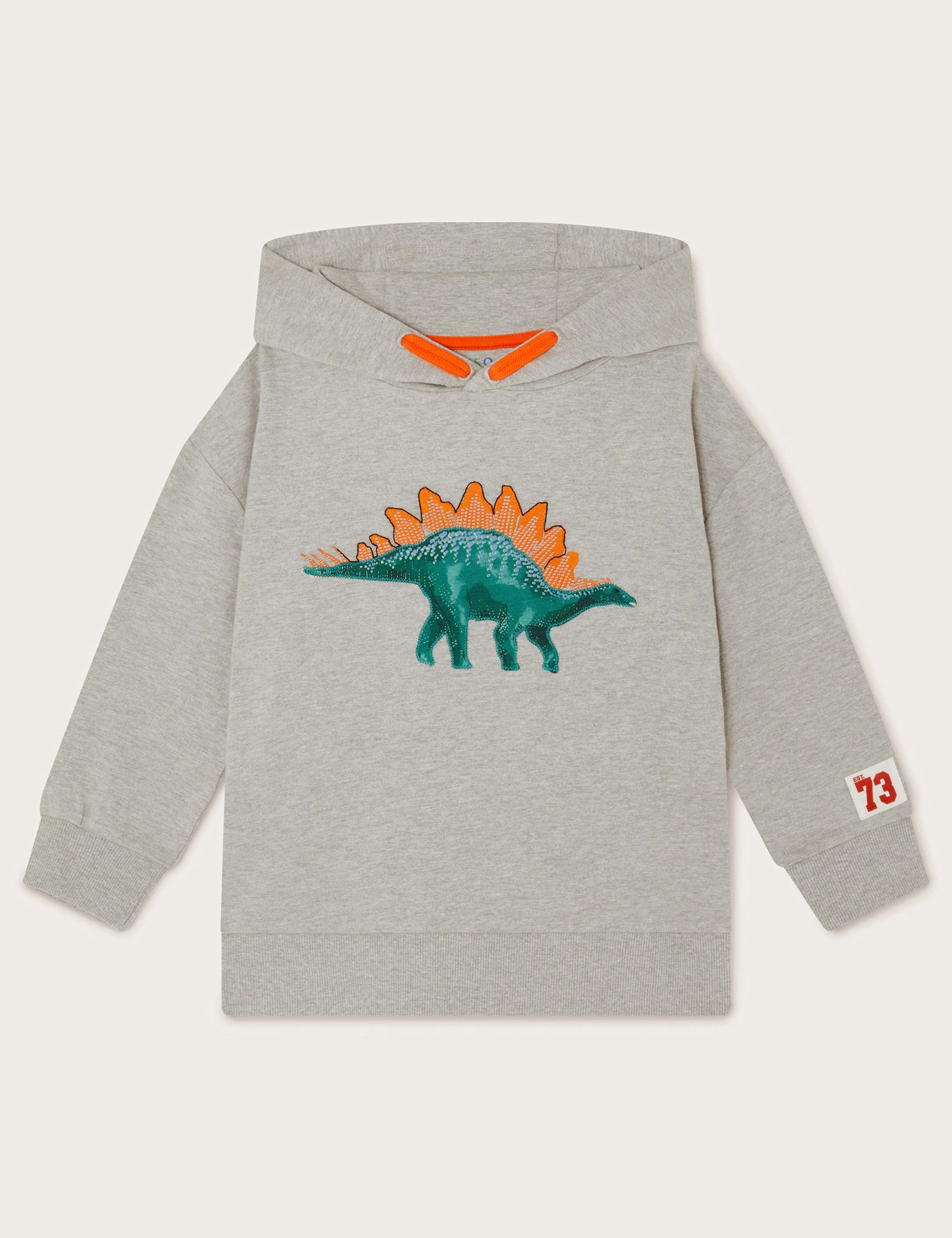 Cotton Rich Dinosaur Hoodie (2-13 Yrs)