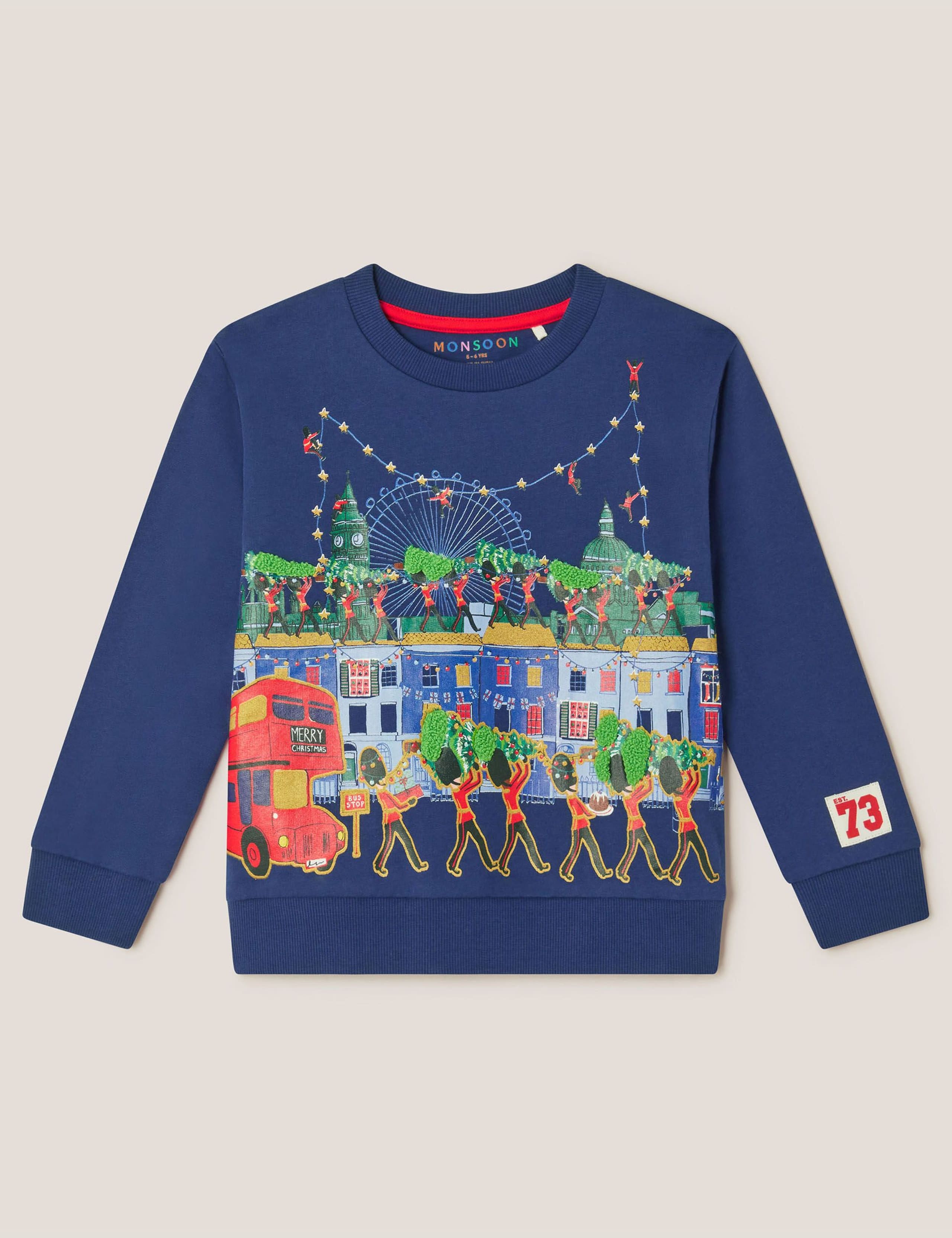 Pure Cotton Christmas Sweatshirt (2-13 Yrs)