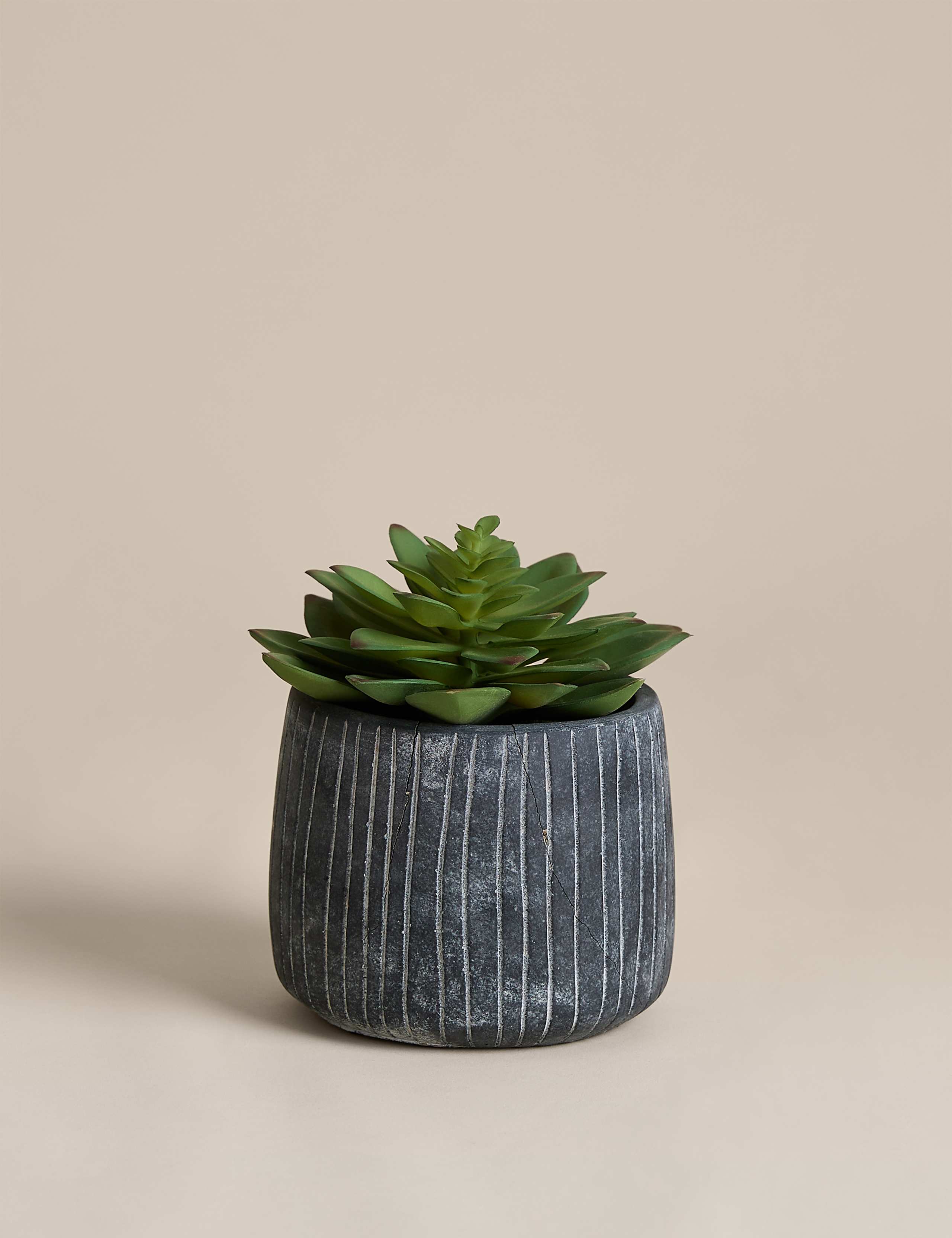 Artificial Succulent in Ridged Cement Pot