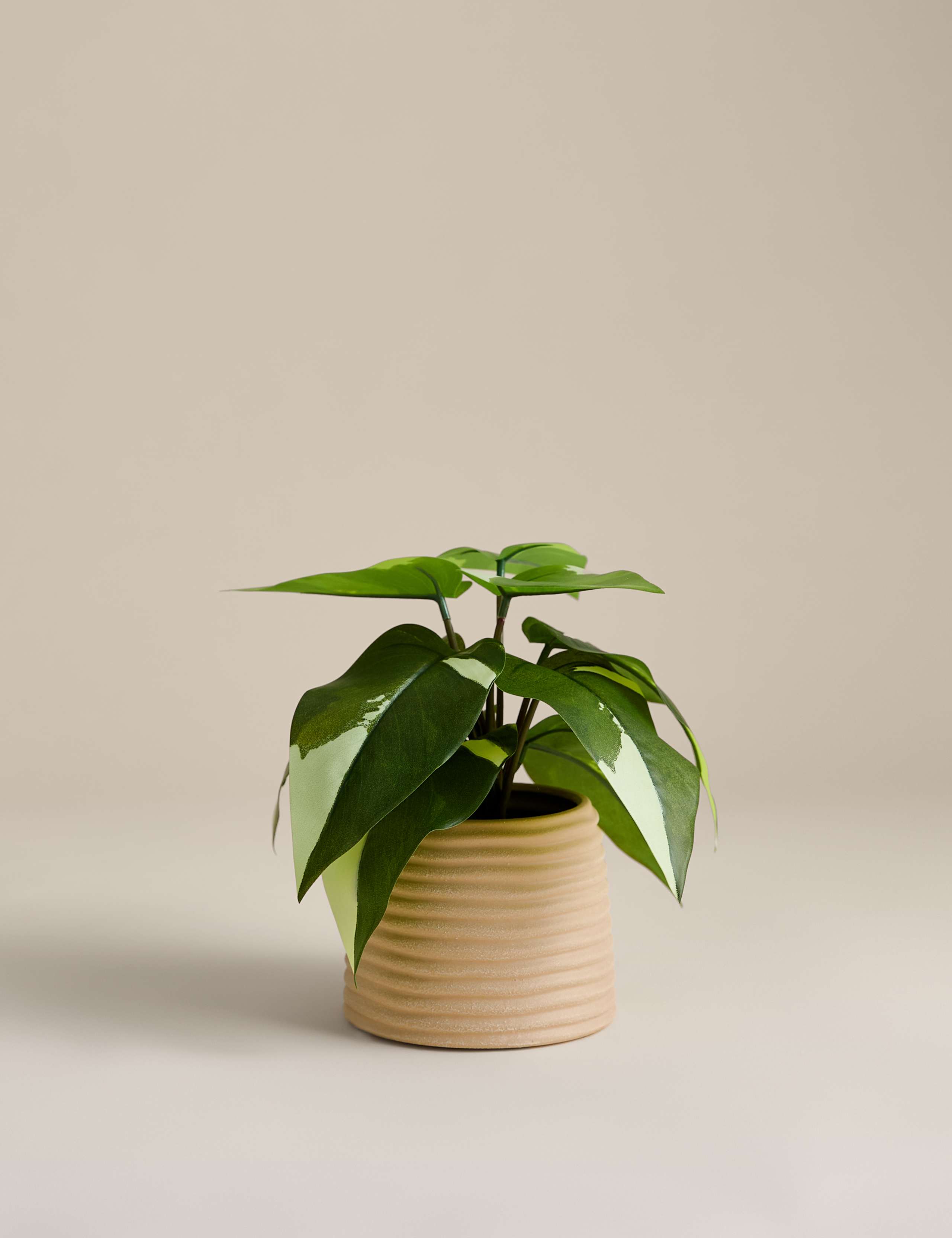 Artificial Heartleaf Philodendron in Ceramic Pot