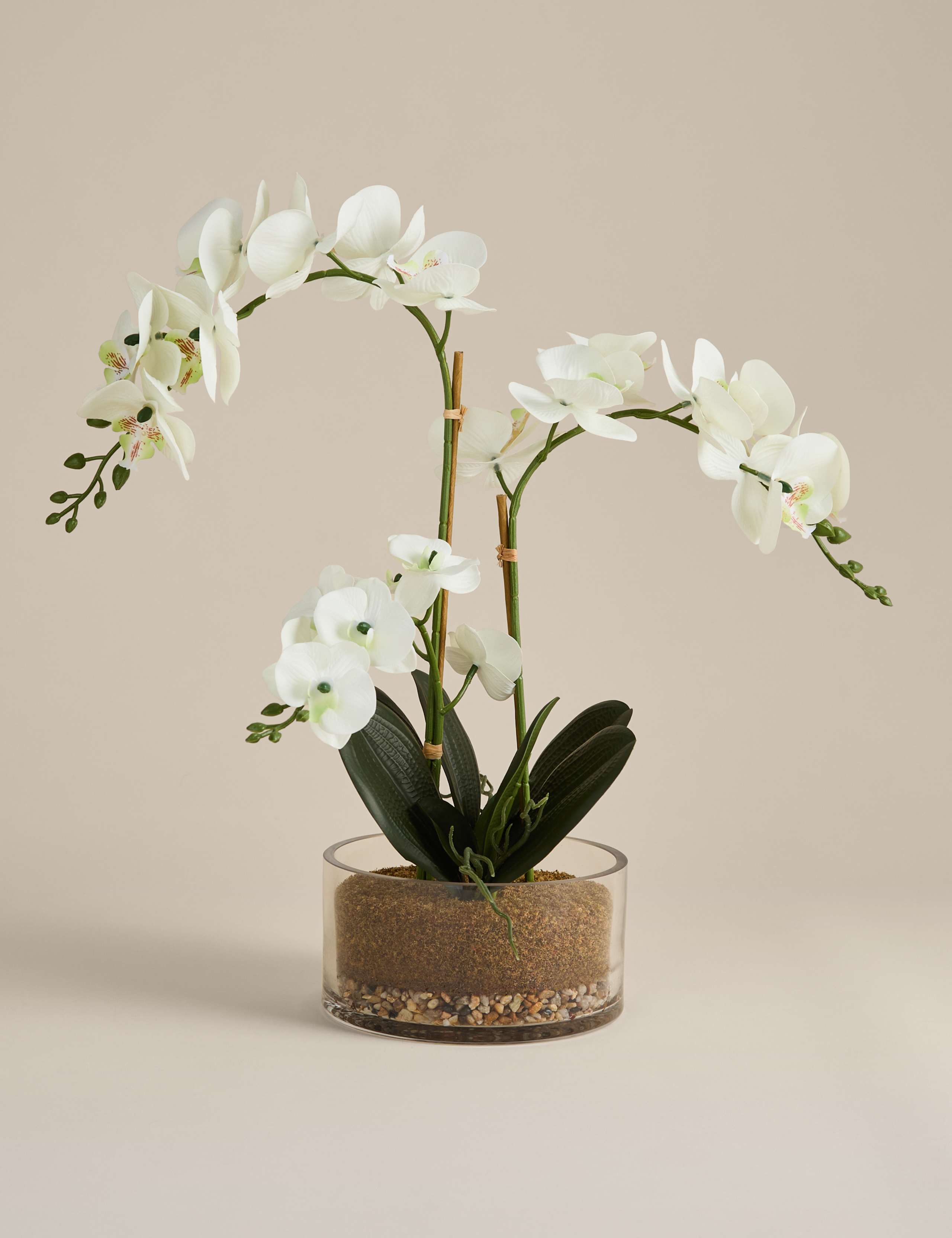Artificial Large Orchid in Glass Pot