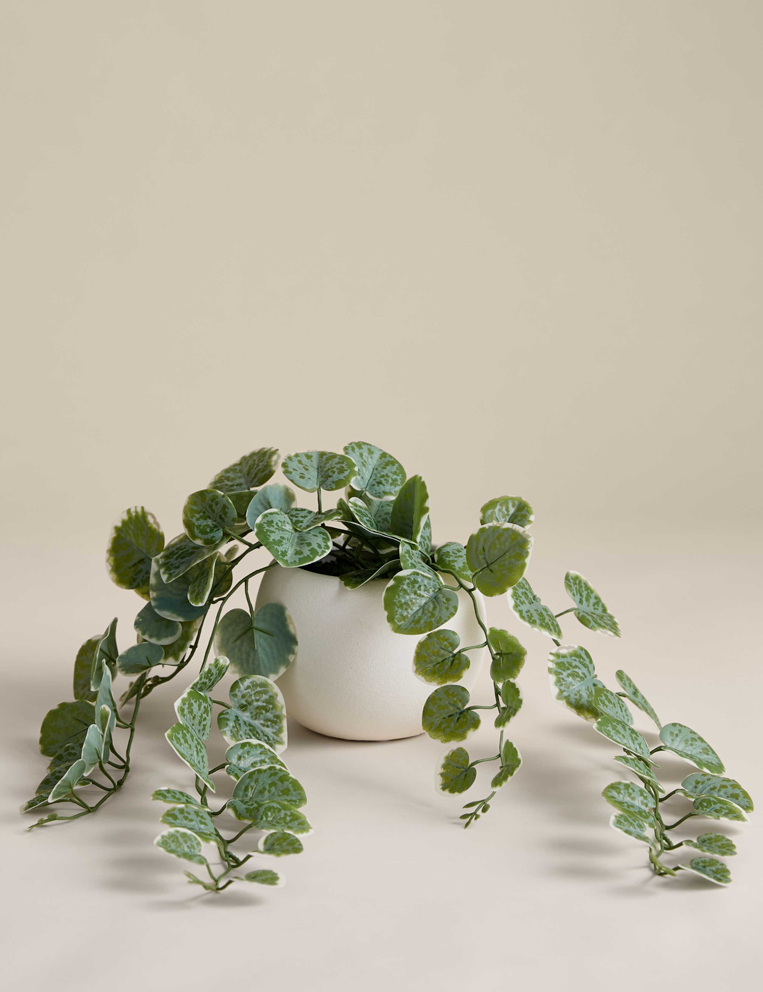 Artificial Trailing Eucalyptus in Pot