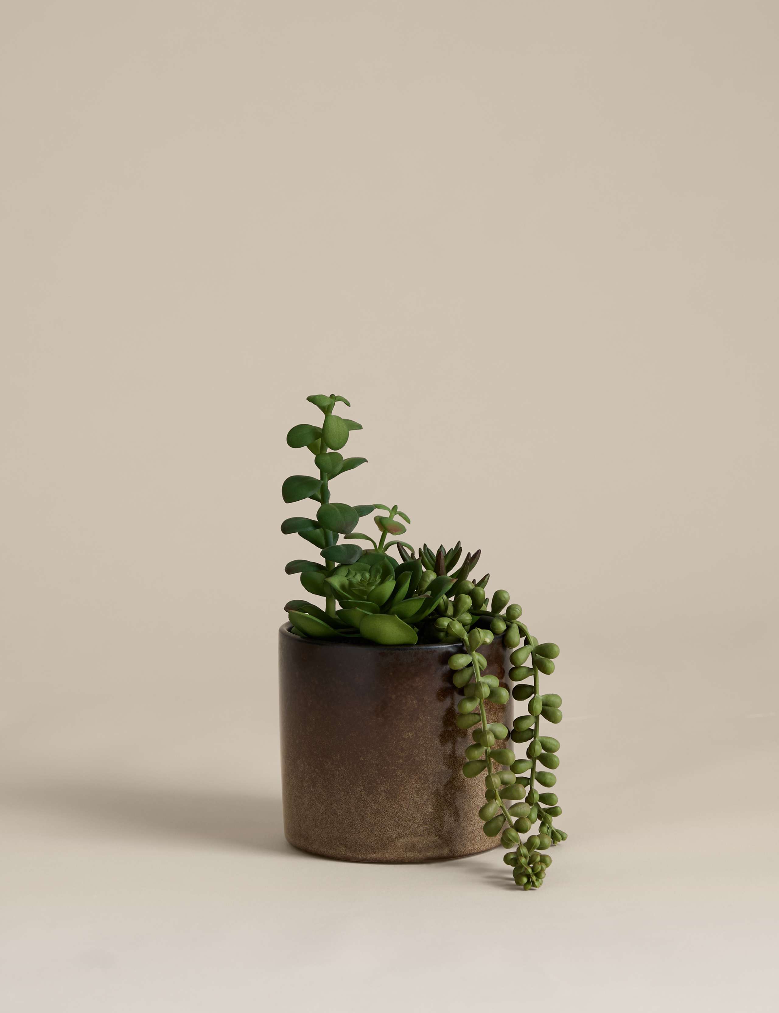Artificial Succulent Family in Reactive Glaze Pot