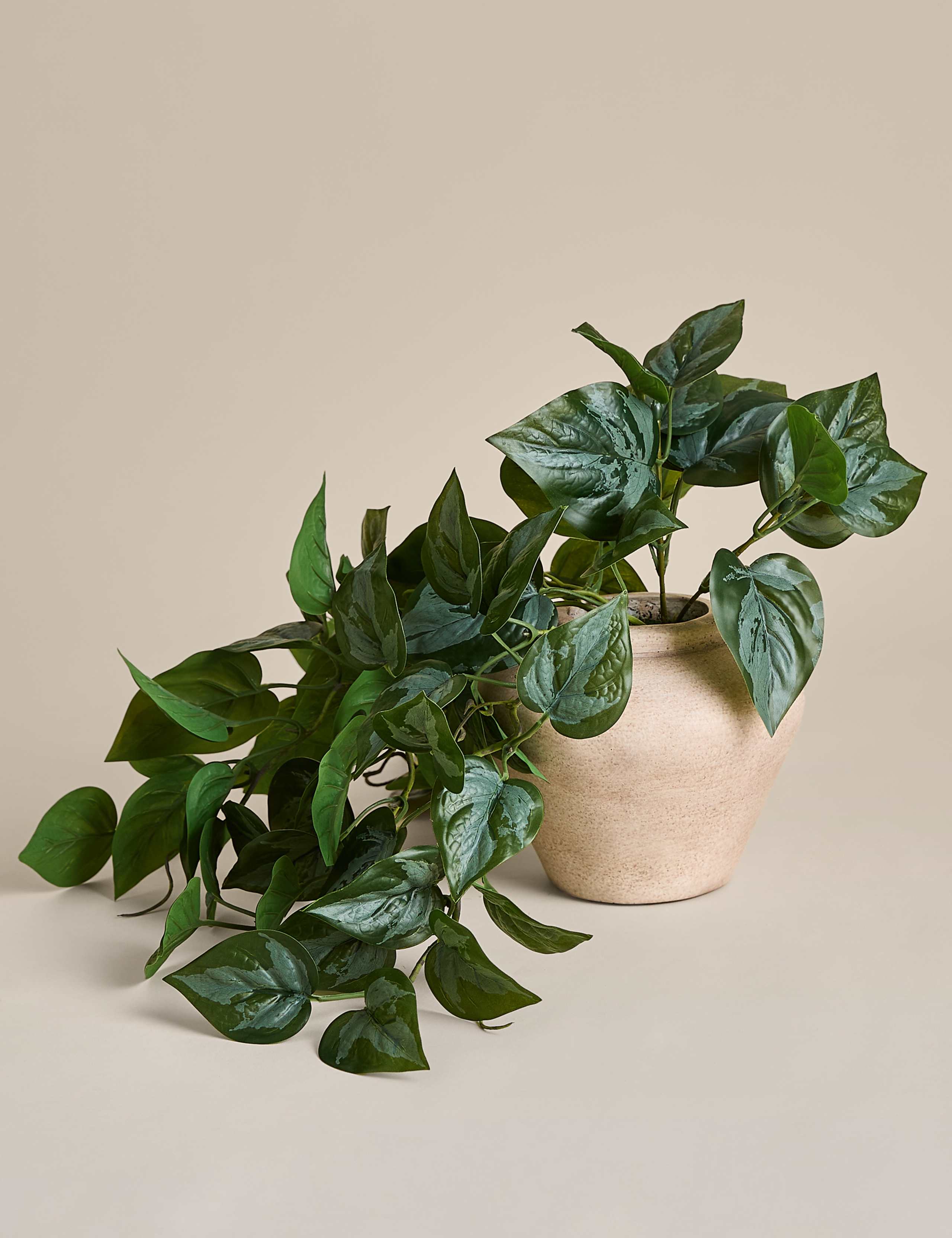 Artificial Trailing Pothos Vase
