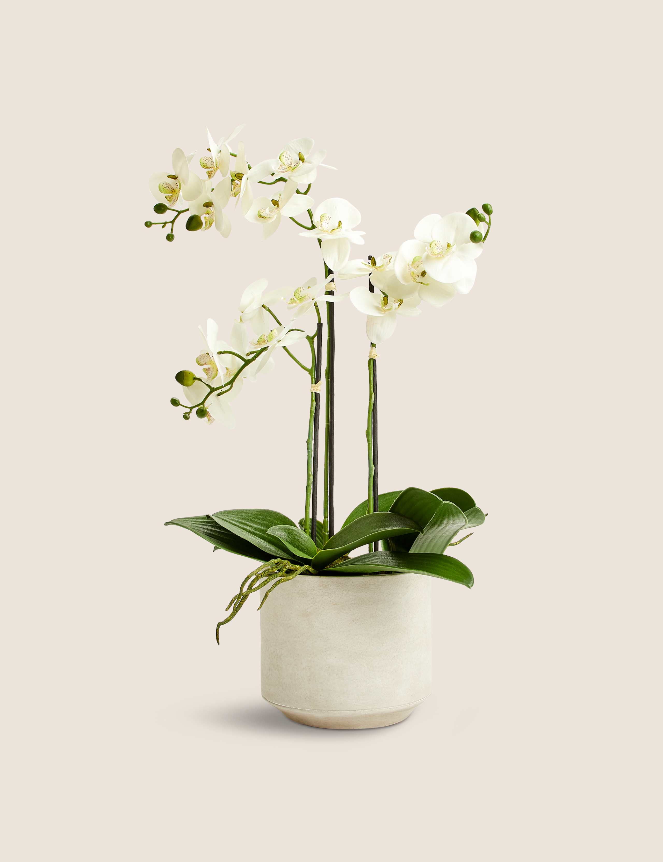 Artificial Large Orchid Plant