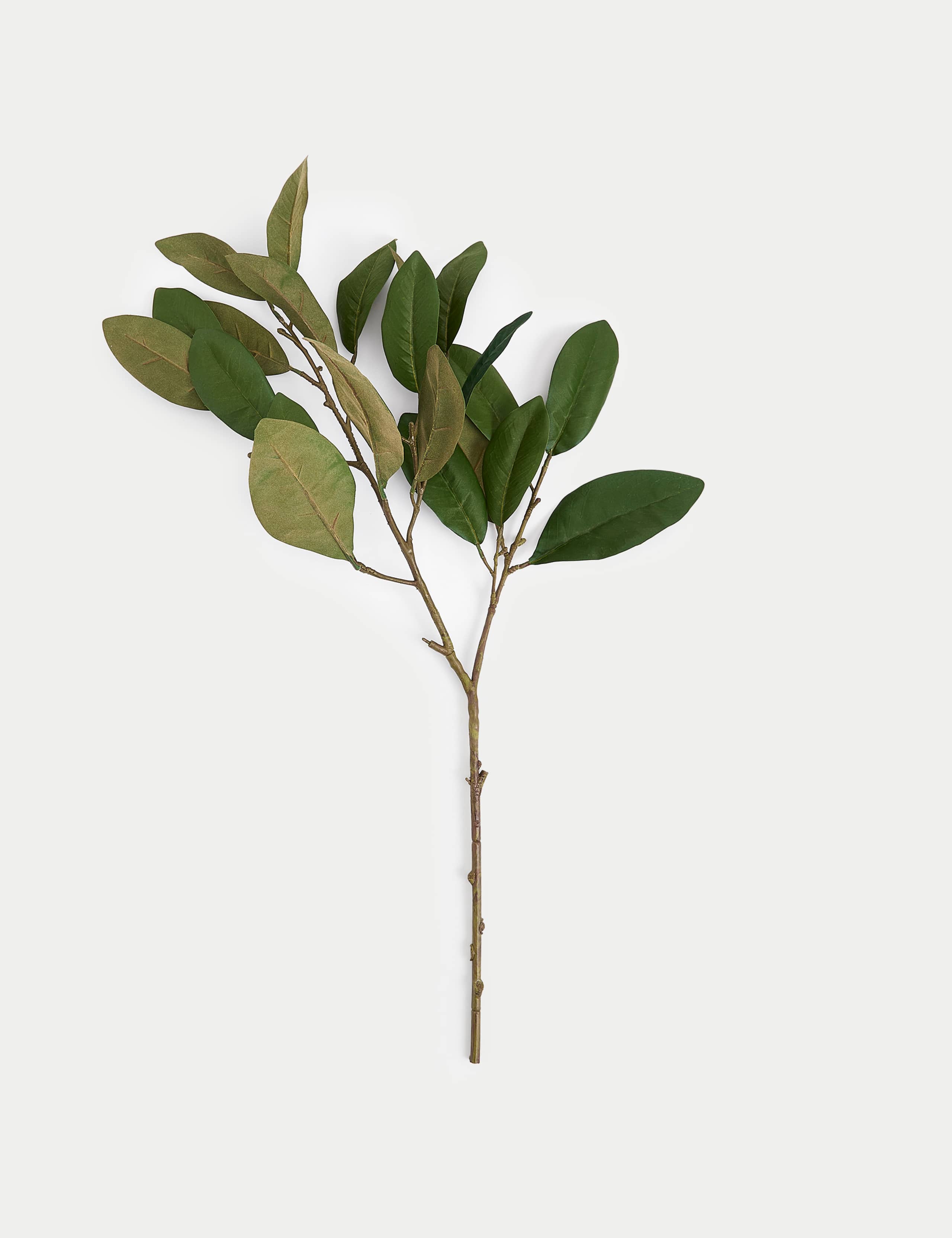 Artificial Laurel Single Stem