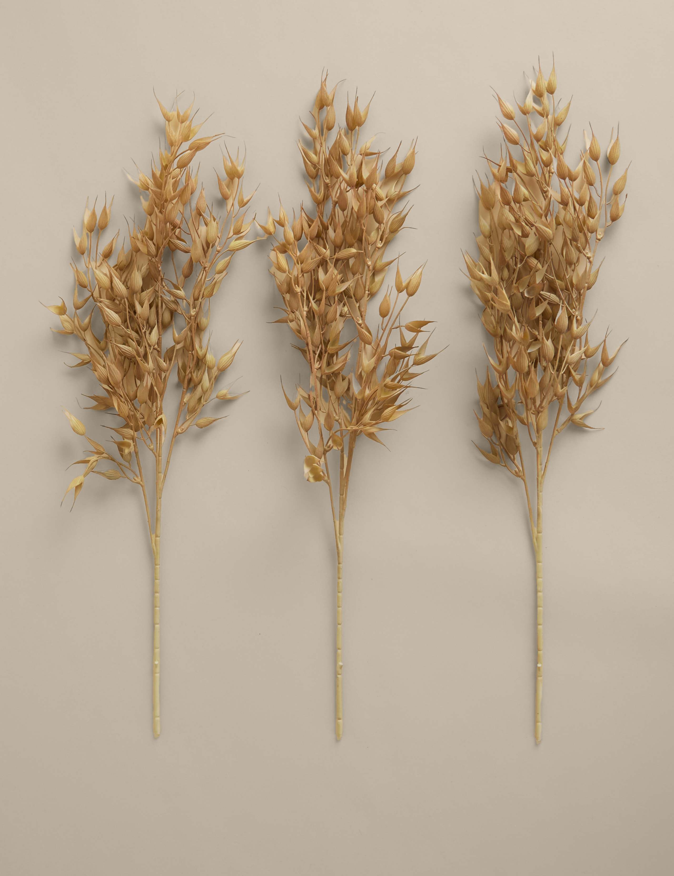 Set of 3 Ruscus Single Stems