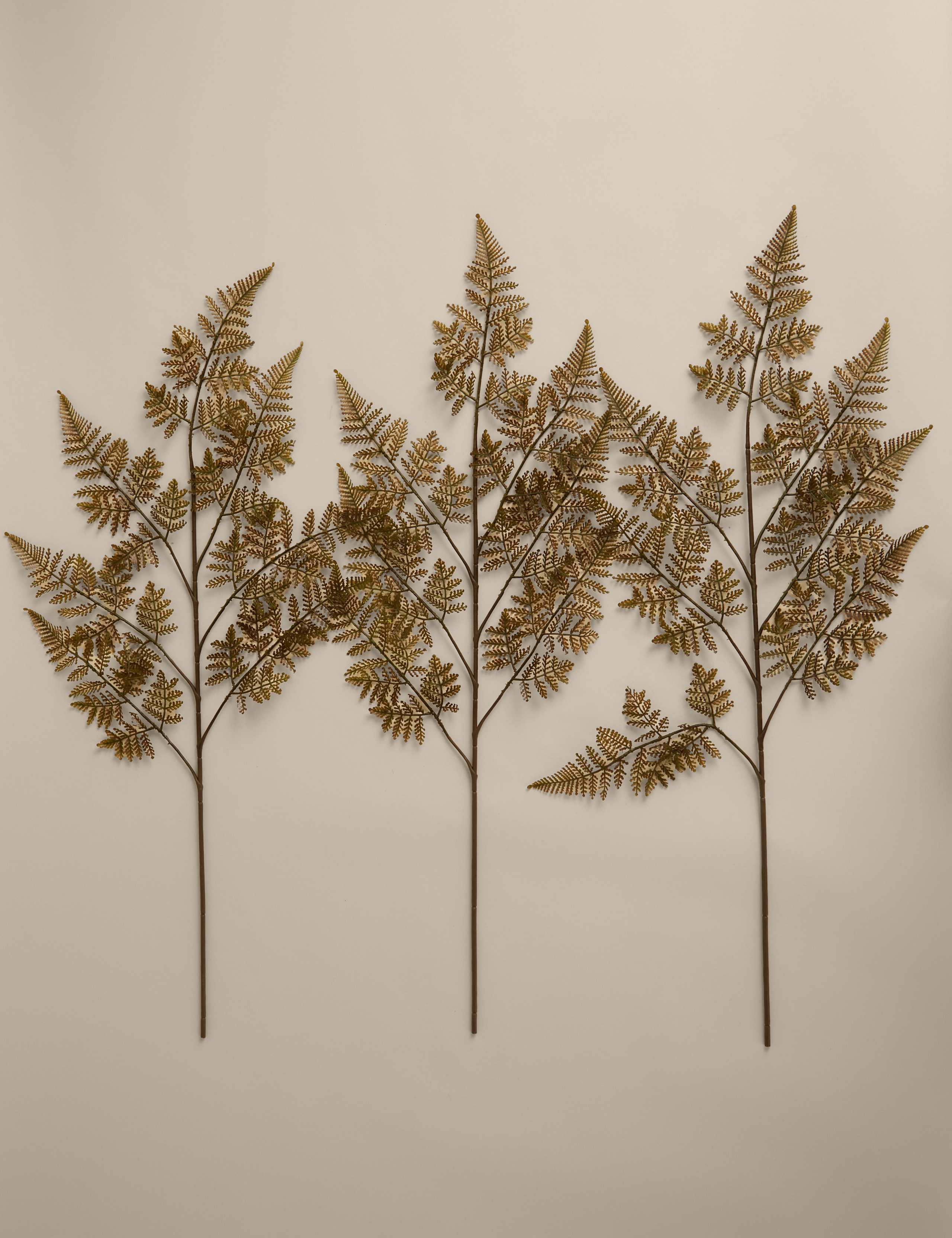 Set of 3 Fern Single Stems