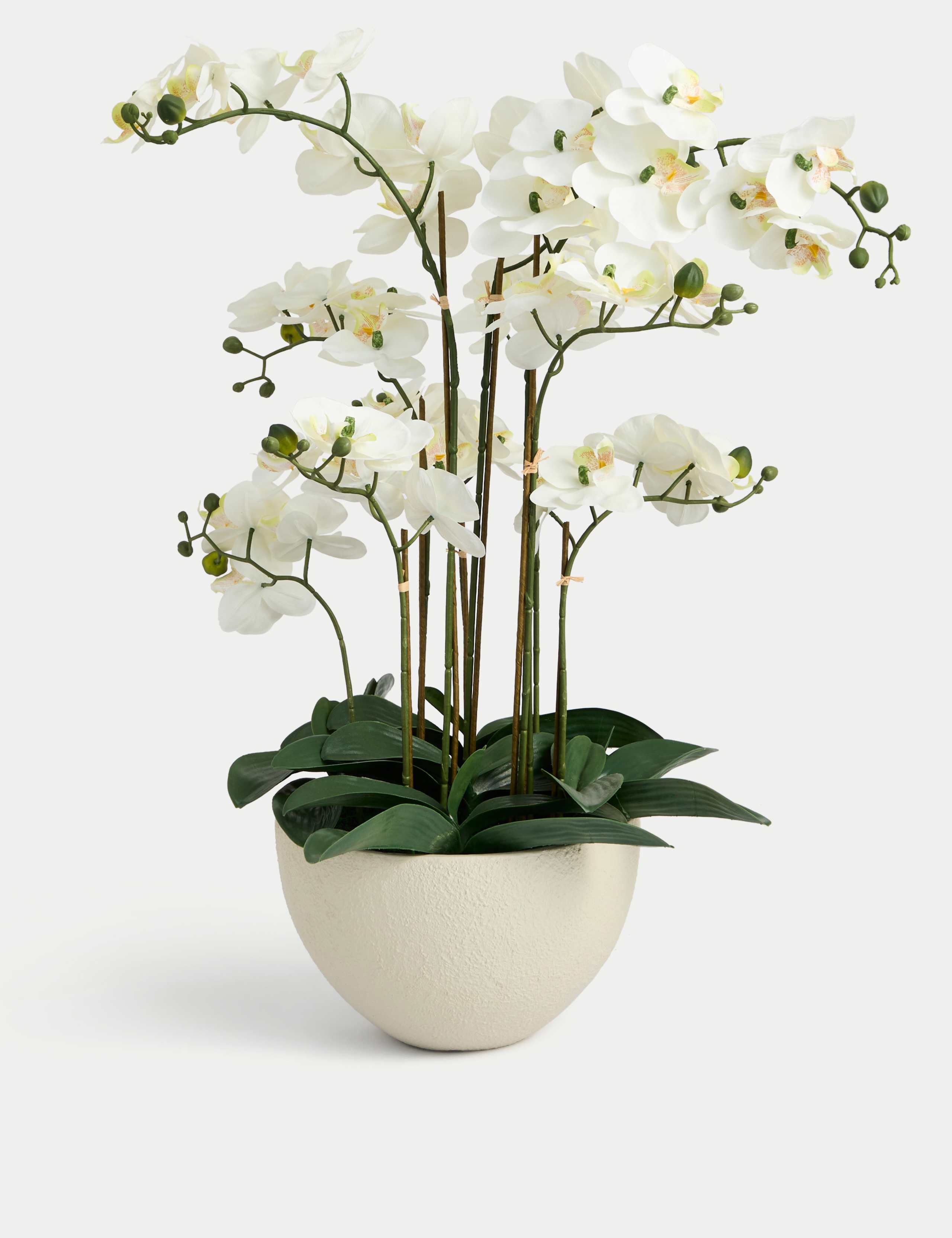 Artificial Extra Large Orchid in Ceramic Pot