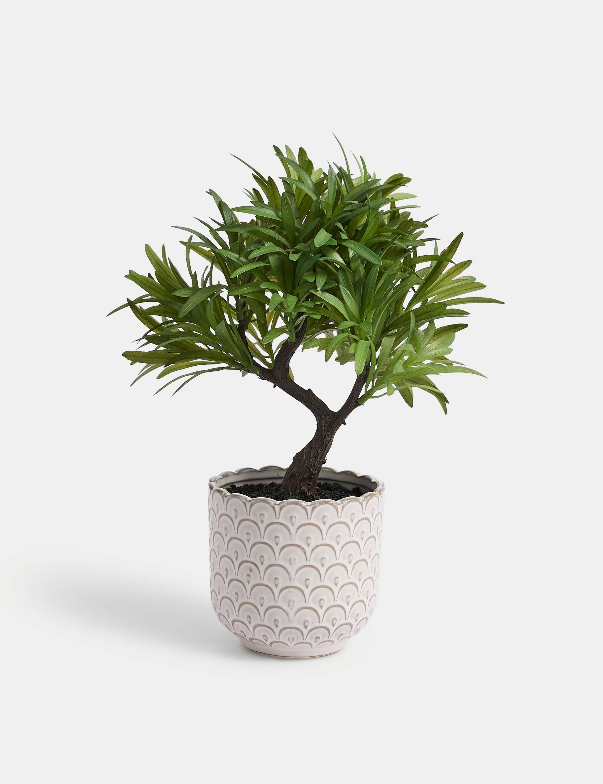 Artificial Bonsai Tree in Scallop Ceramic Pot