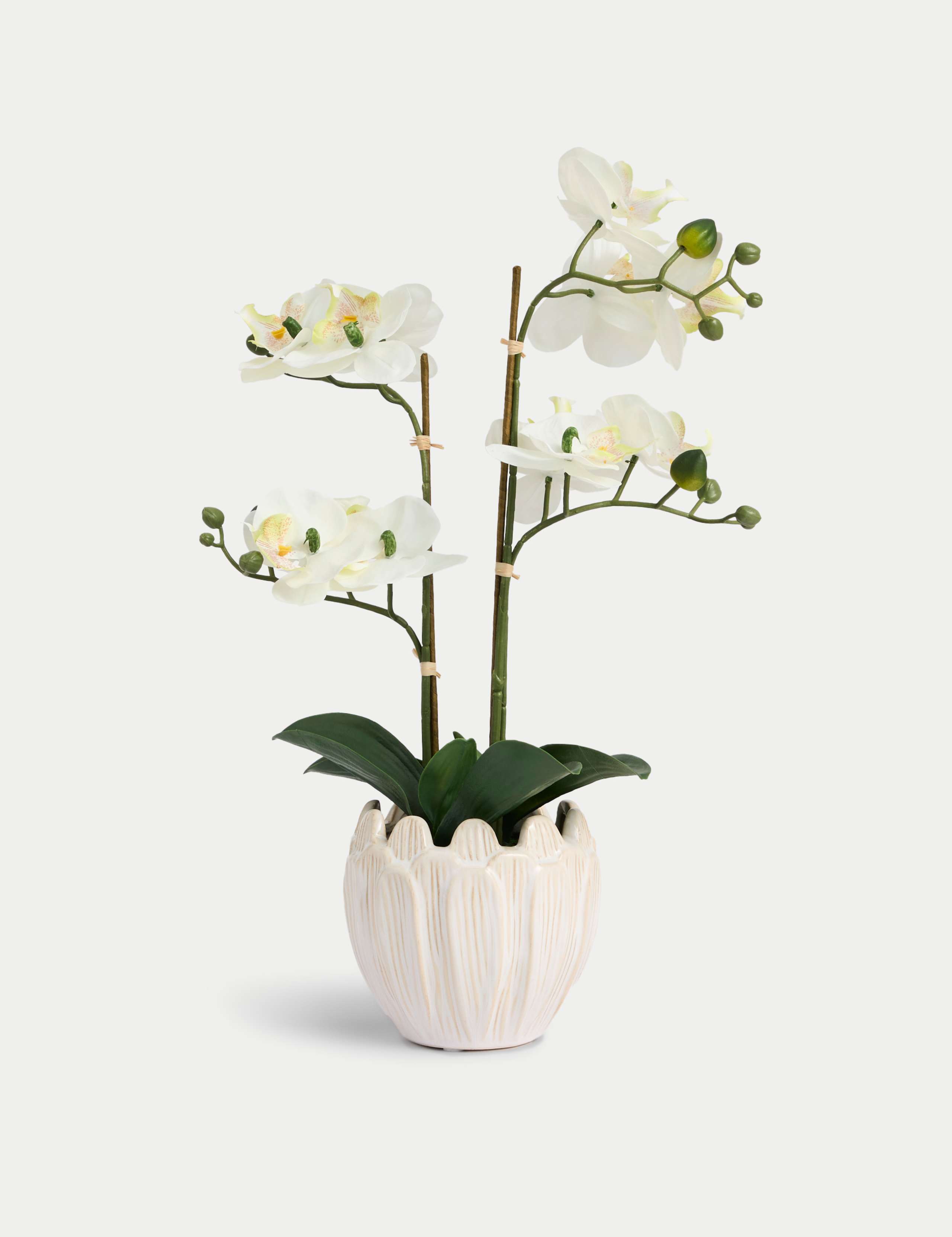 Artificial Orchid Arrangement in Ceramic Pot