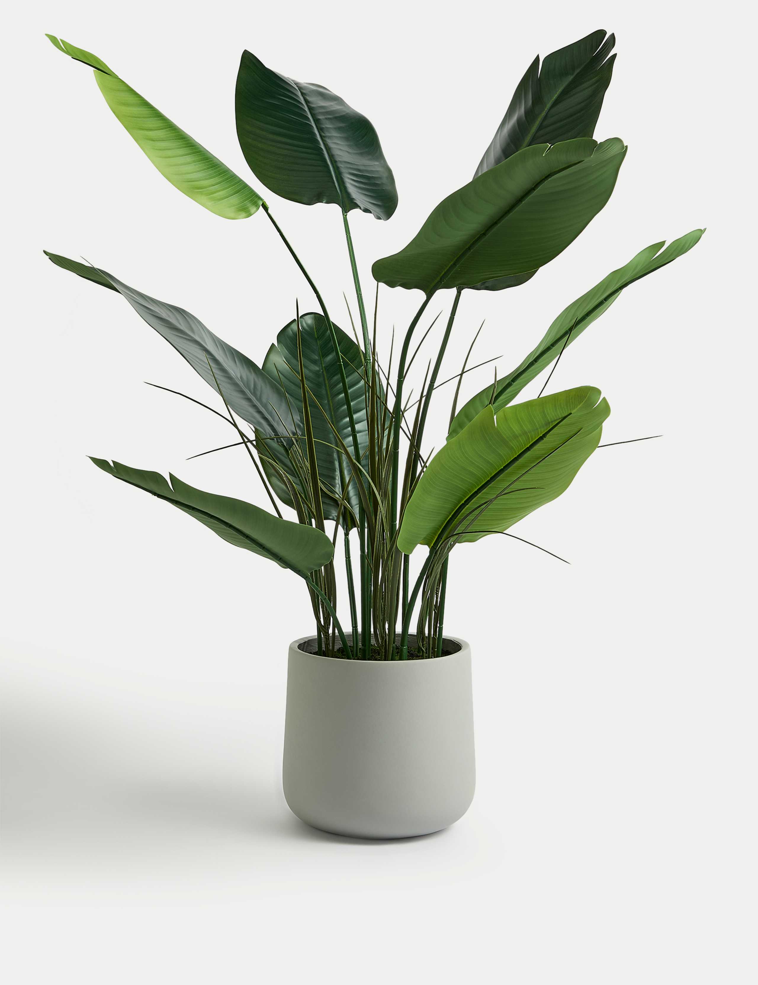 Artificial Large Banana Plant in Concrete Pot