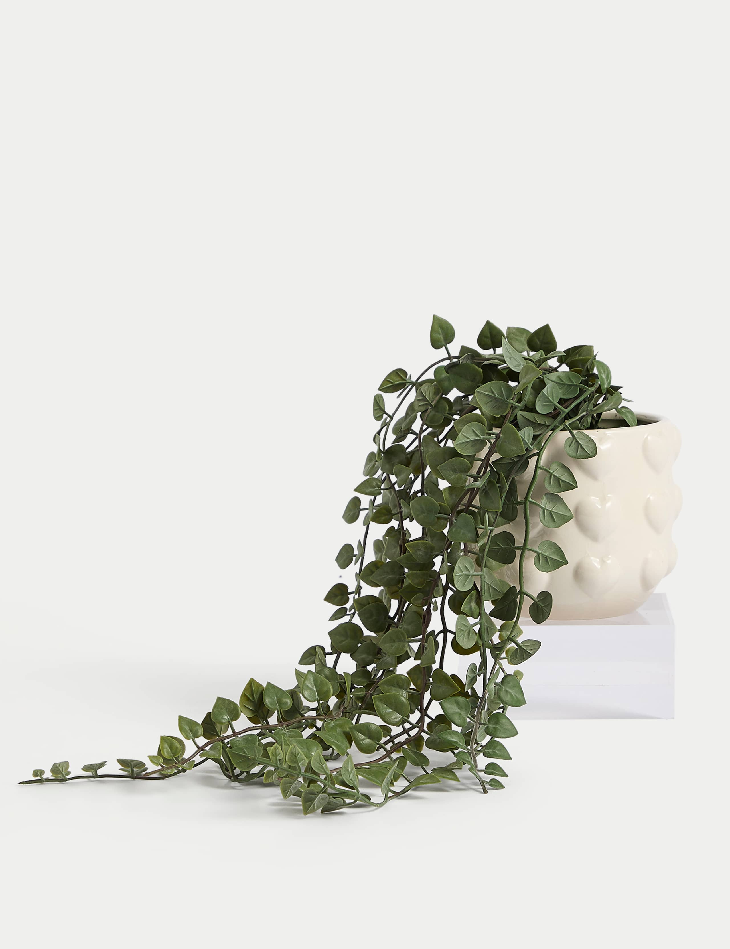 Artificial String of Hearts in Ceramic Pot