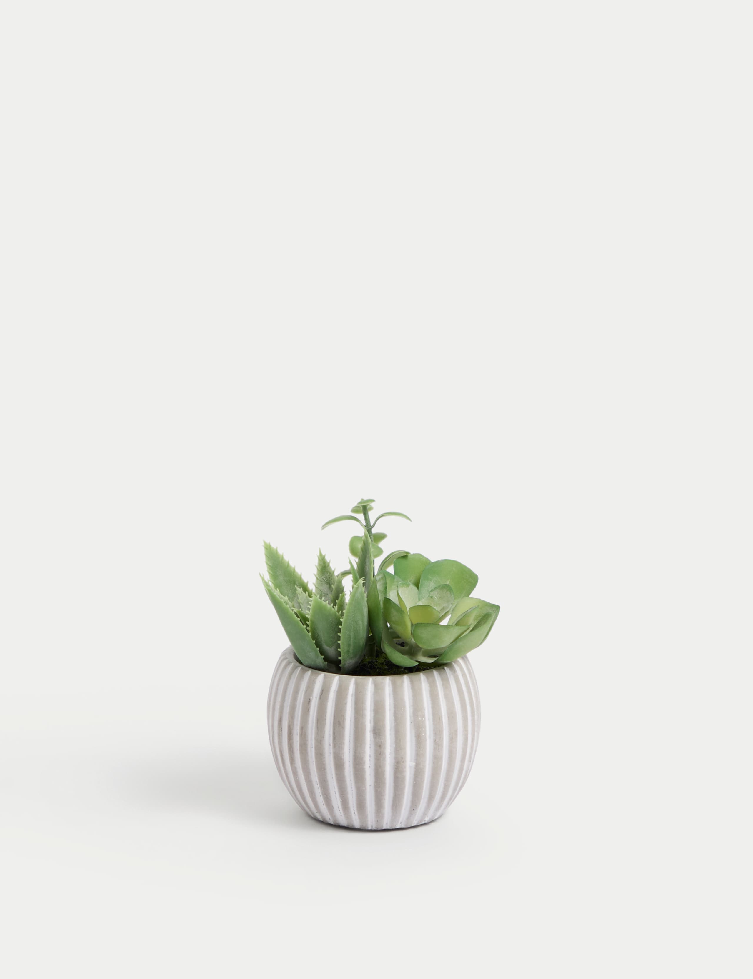 Artificial Succulents in Cement Pot