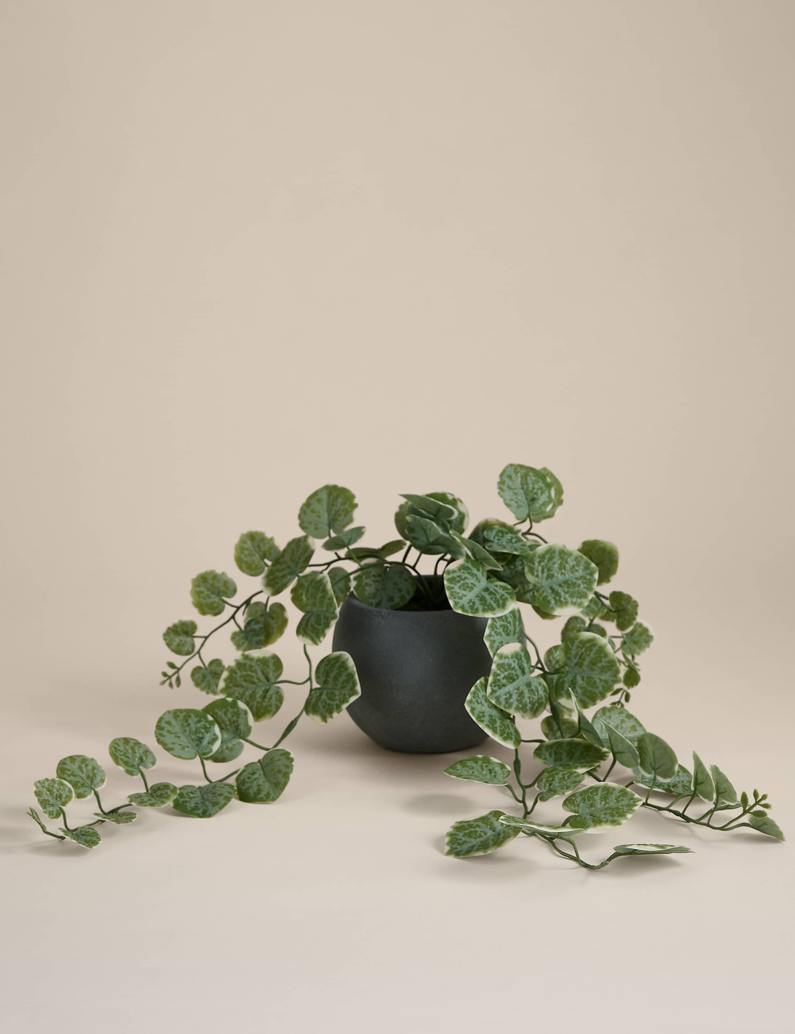 Artificial Trailing Eucalyptus in Ceramic Pot