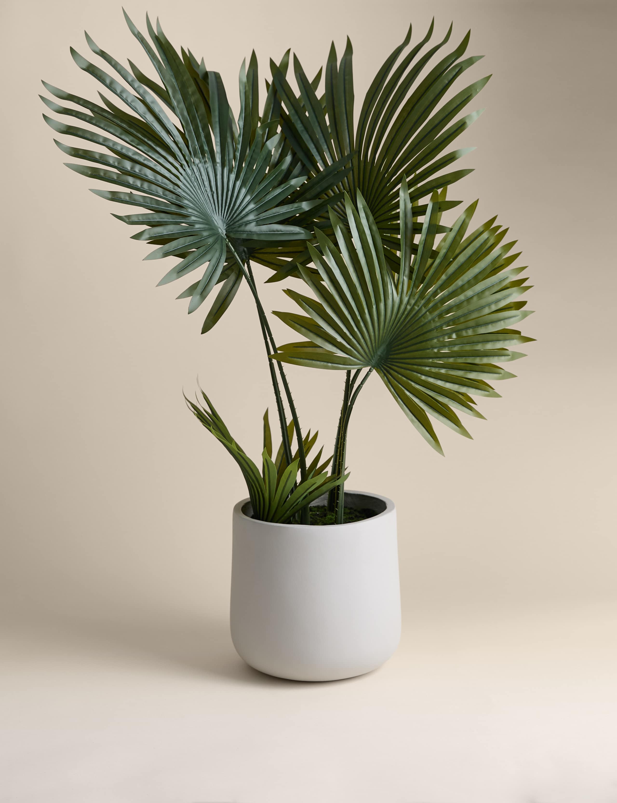 Artificial Floor Standing Fern House Plant