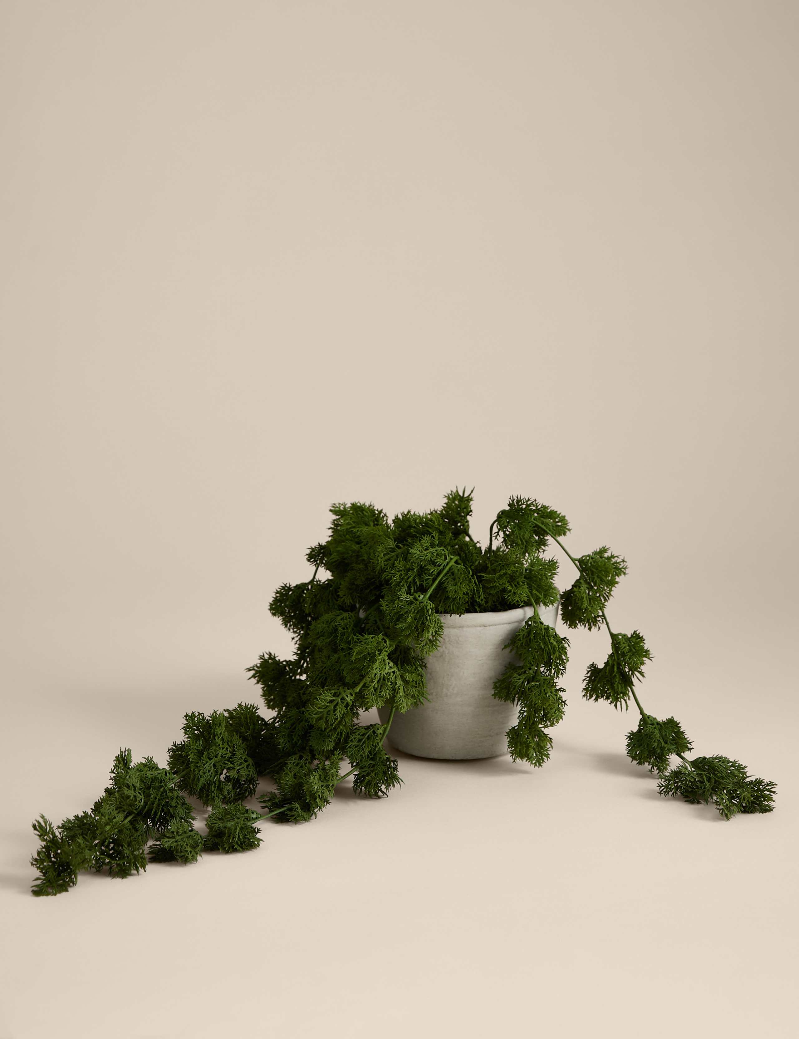 Artificial Trailing Moss in Cement Pot