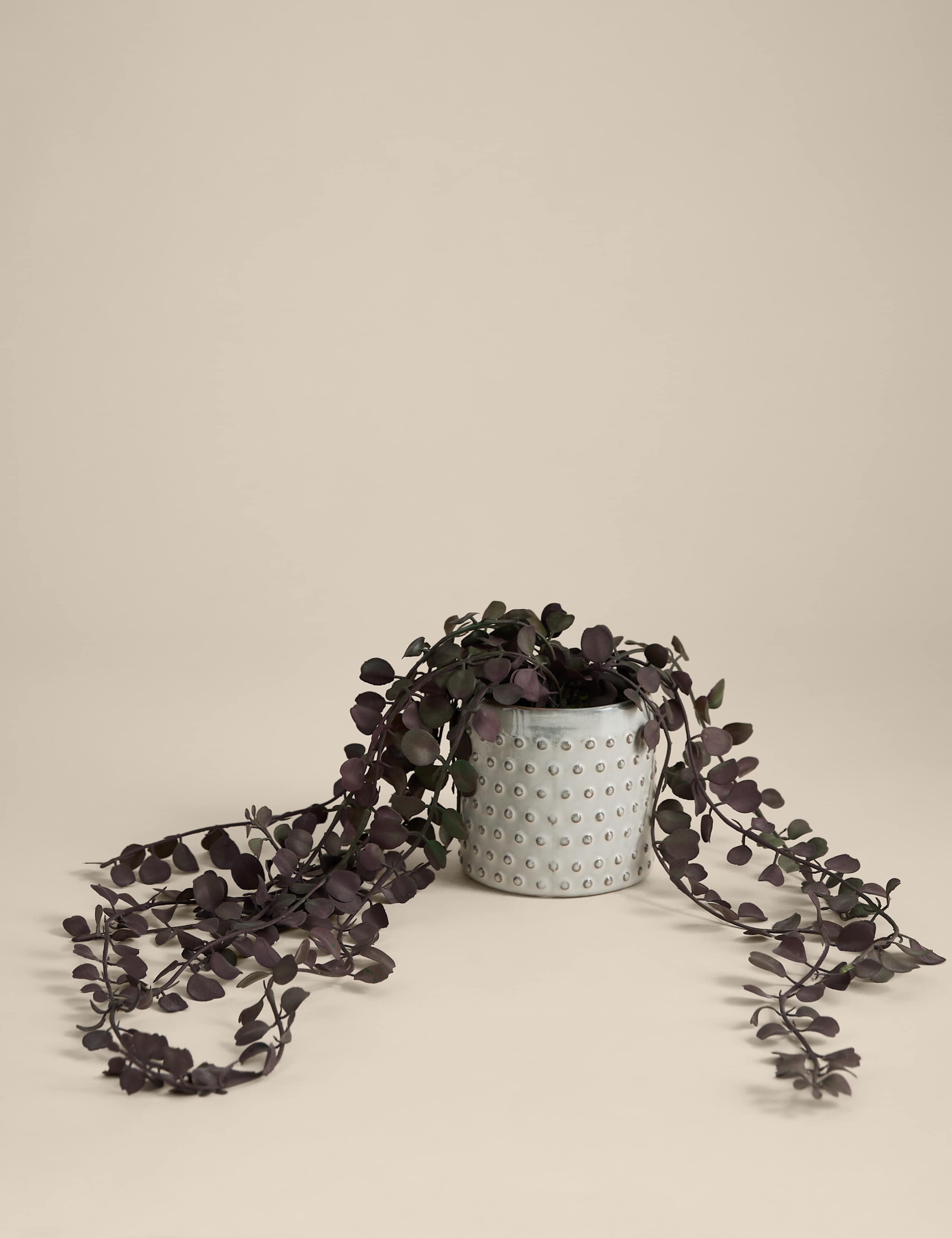 Artificial String Of Hearts in Ceramic Pot