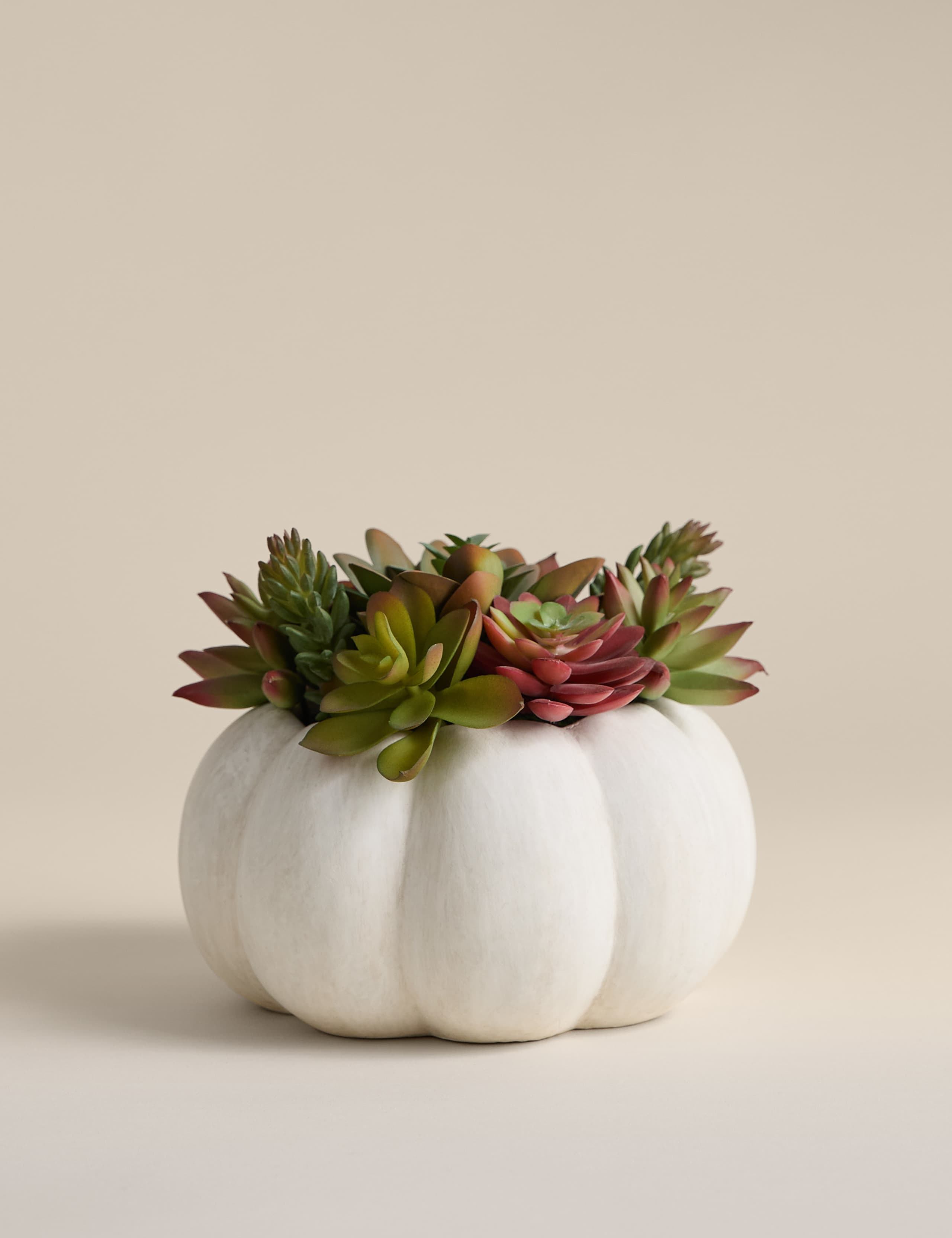 Artificial Succulents in Concrete Pot