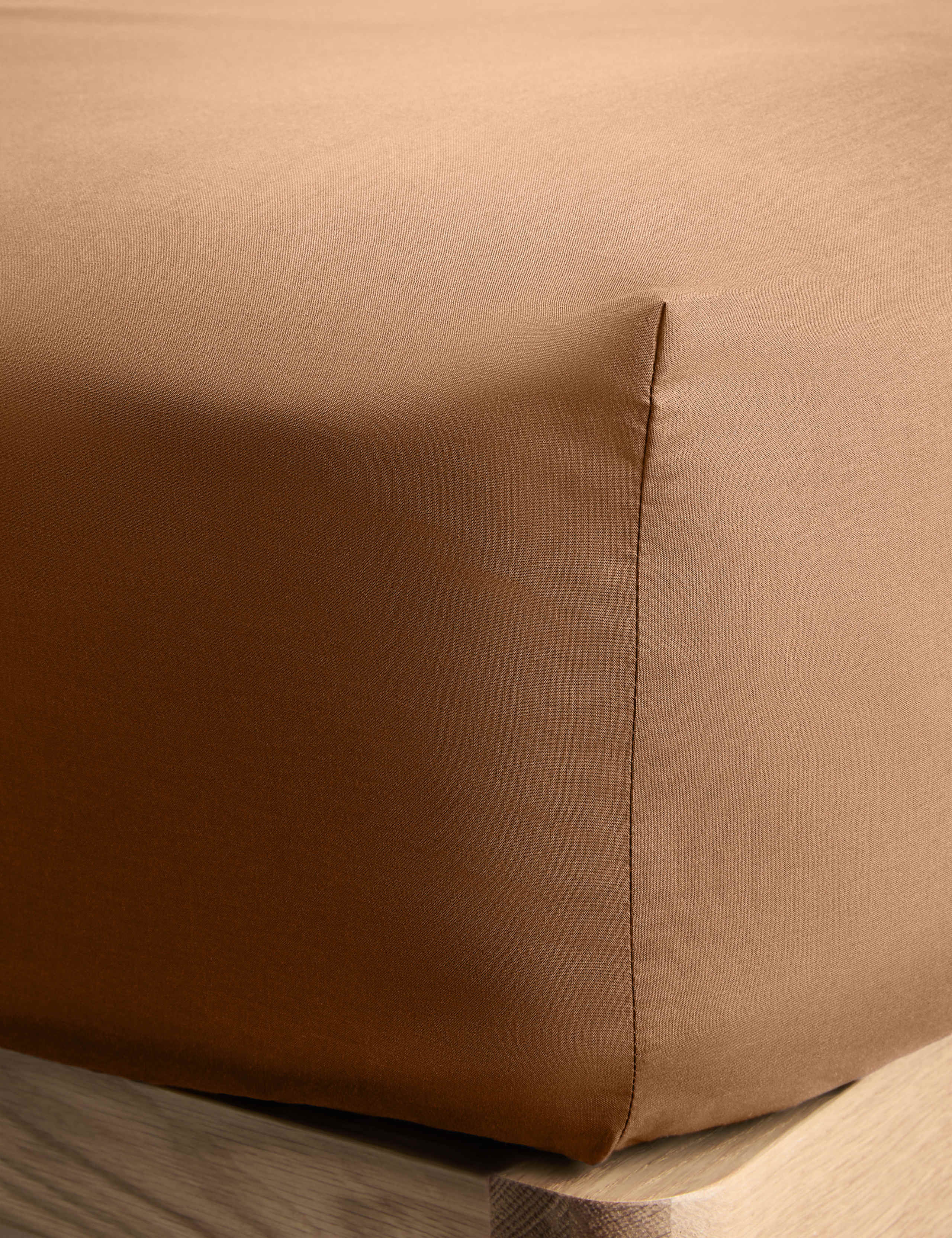 Cotton Rich Fitted Sheet