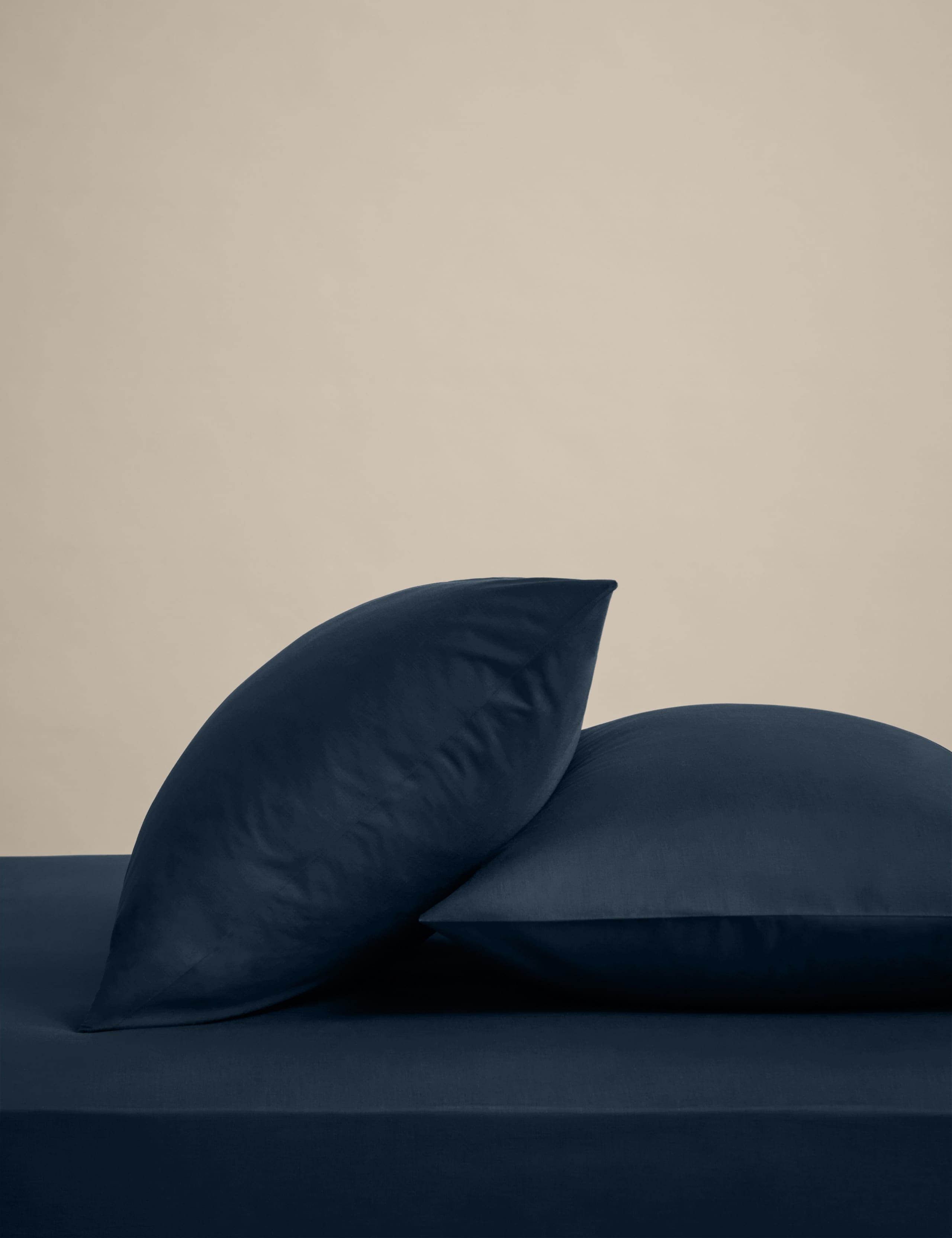 2 Pack Cotton Rich Pillowcases