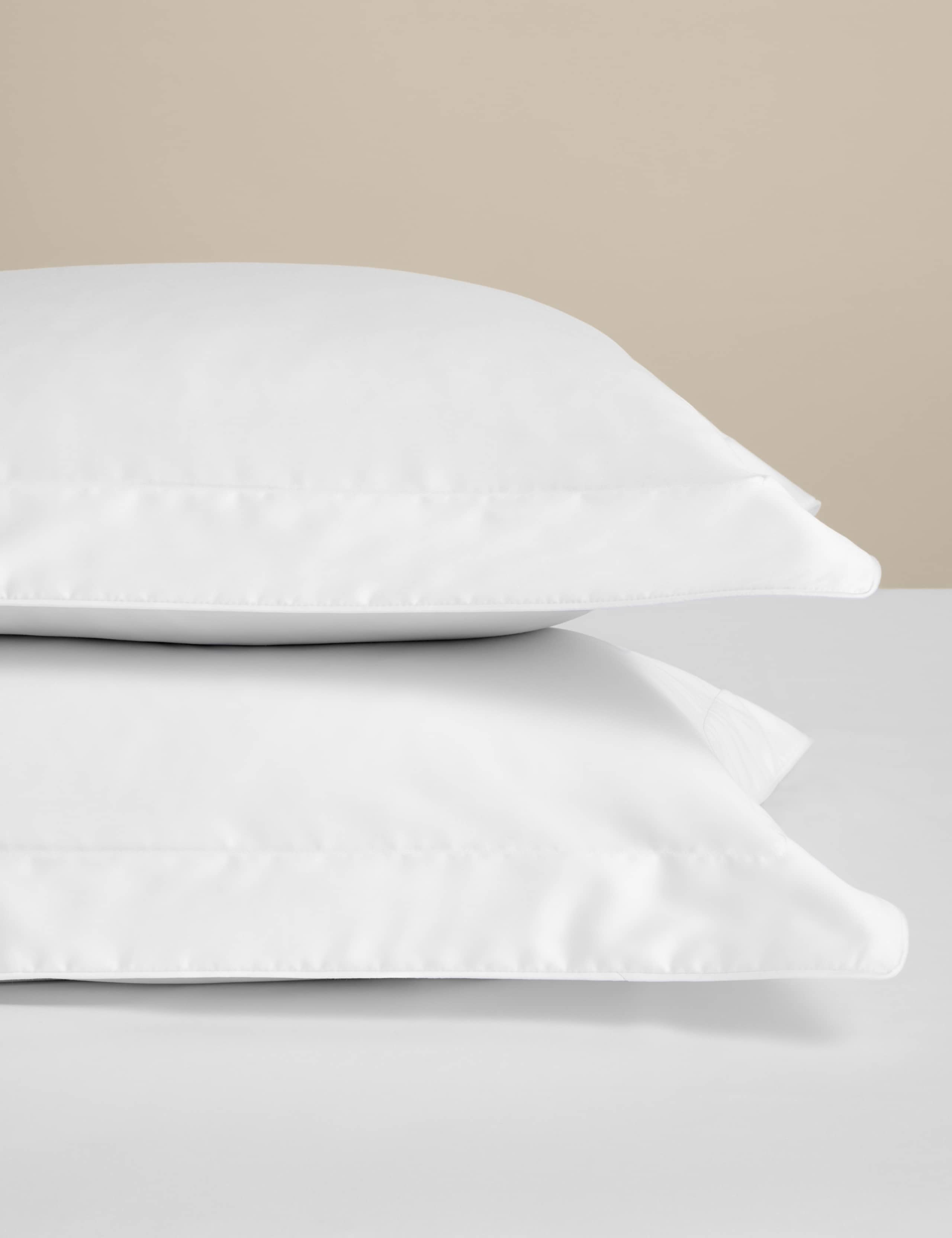 2 Pack Egyptian Cotton 230 Thread Count Oxford Pillowcase