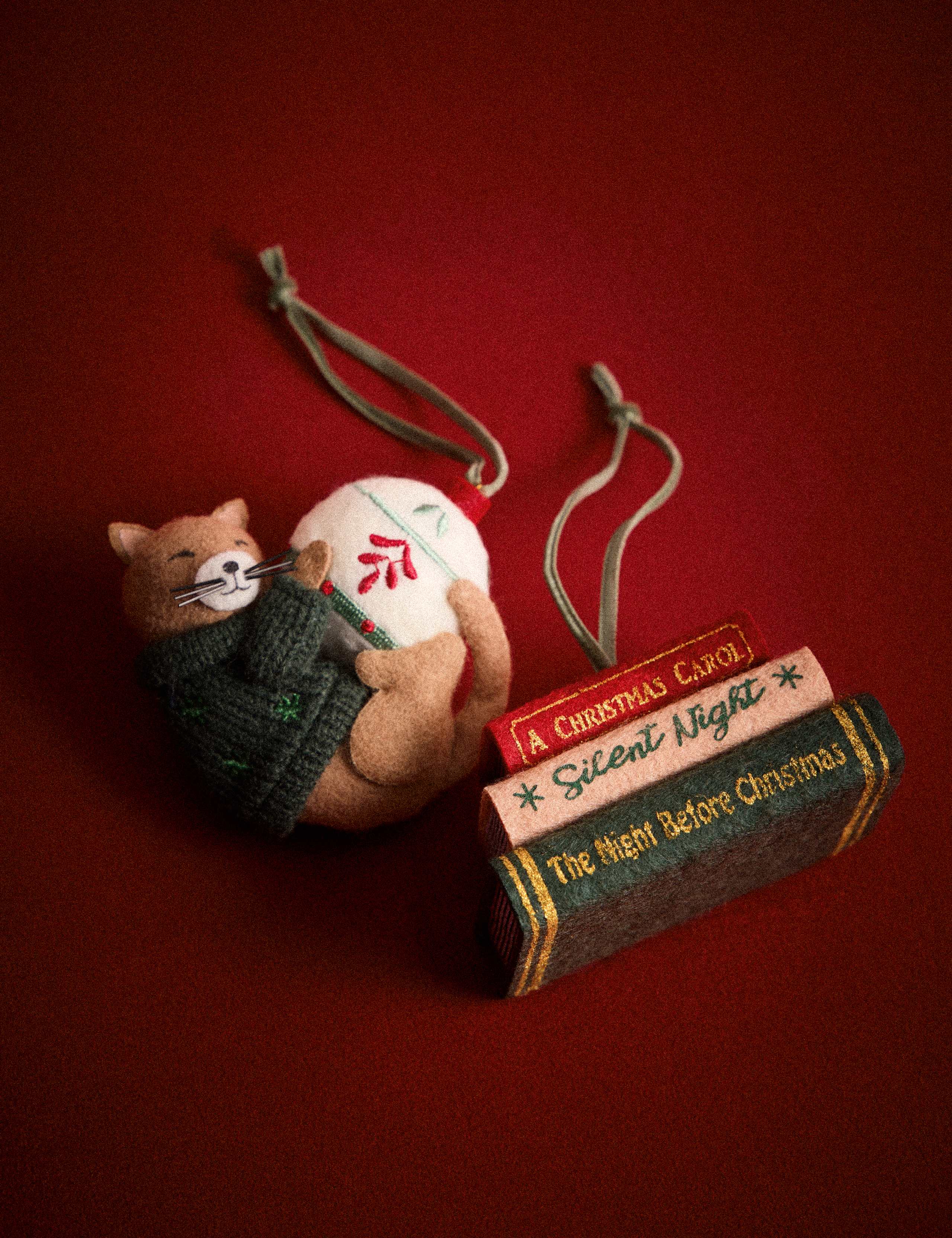2 Pack Felt Cat and Festive Books Hanging Decorations