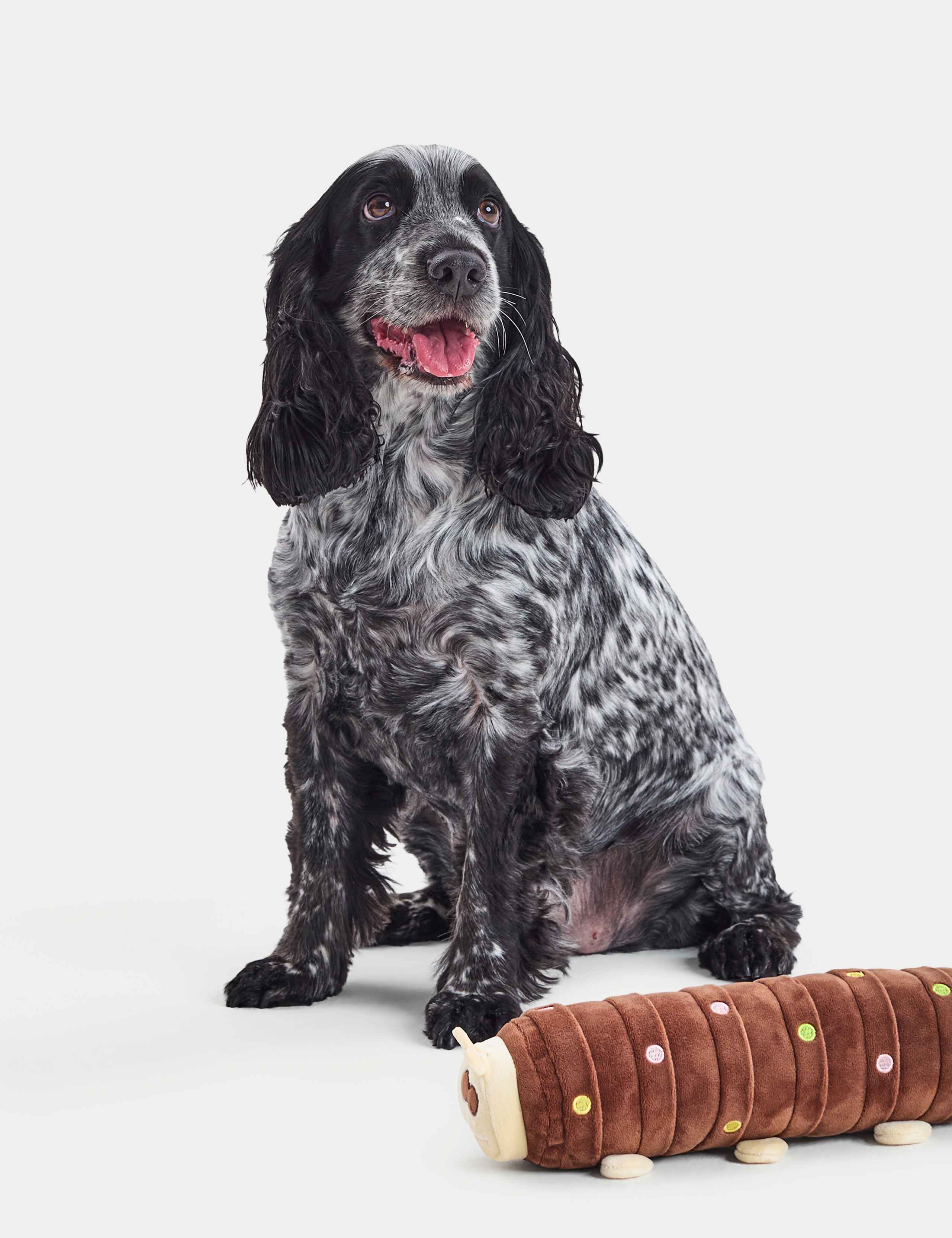 Colin the Caterpillar™ Pet Toy