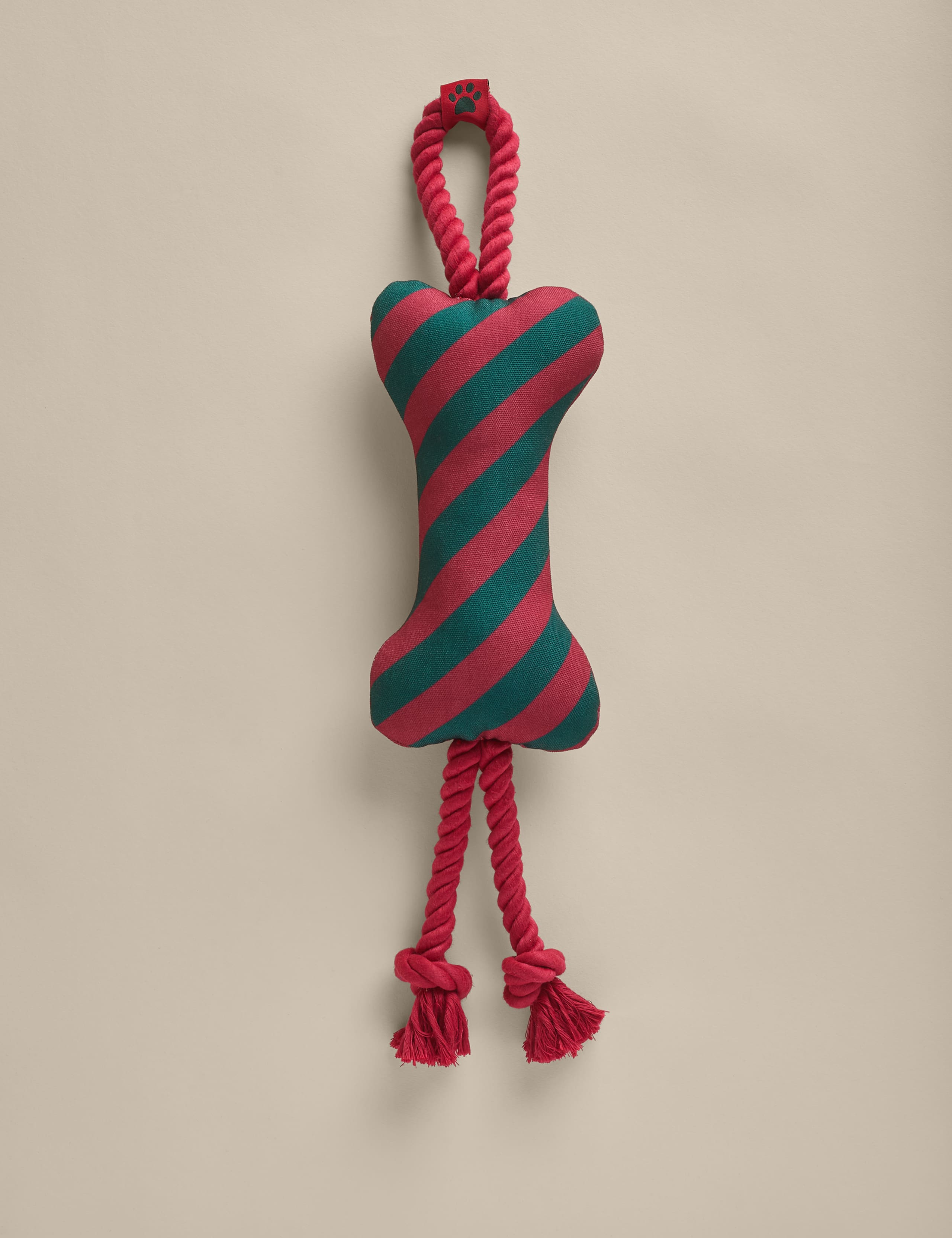 Striped Bone Dog Toy