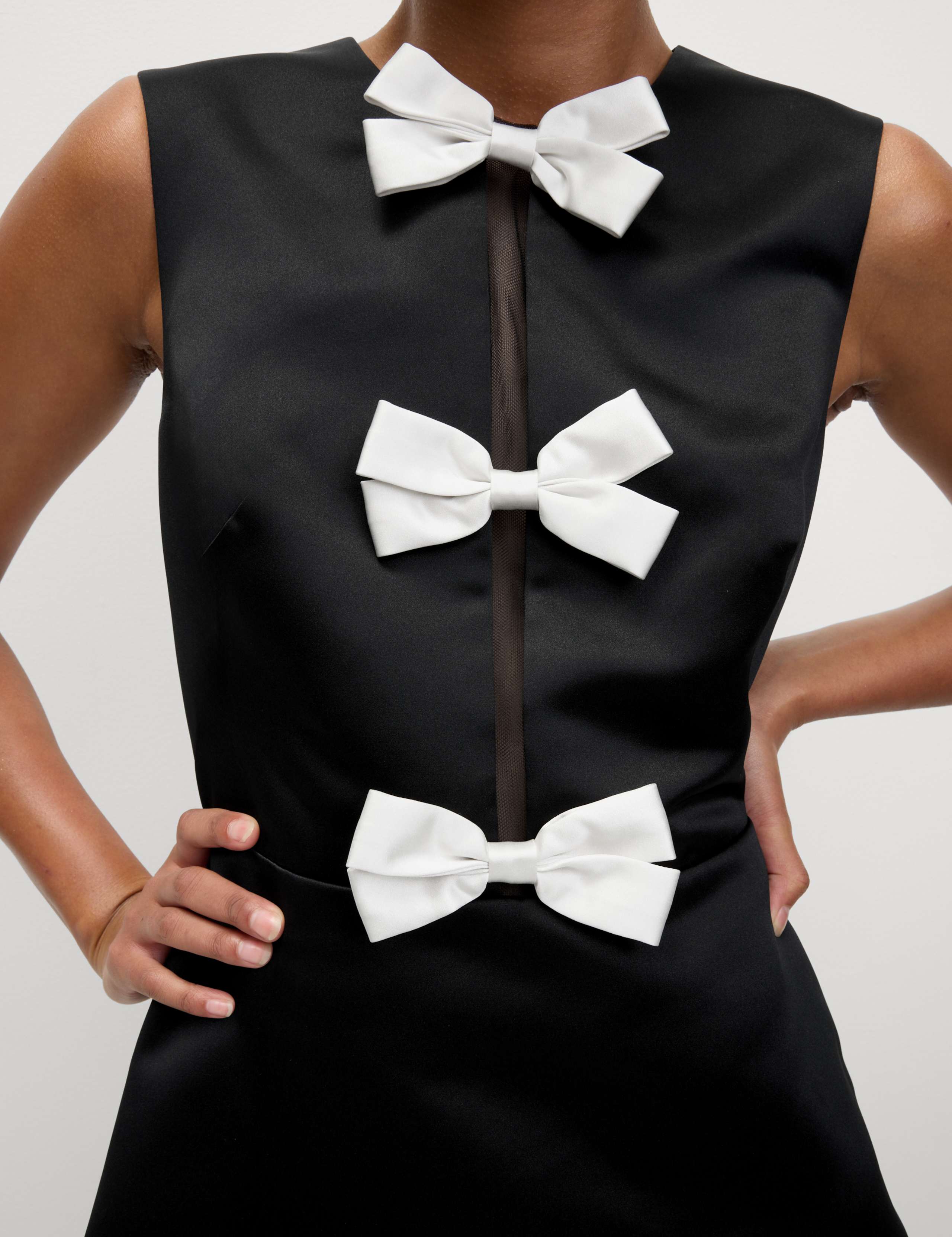 Bow Detail Mini Waisted Dress