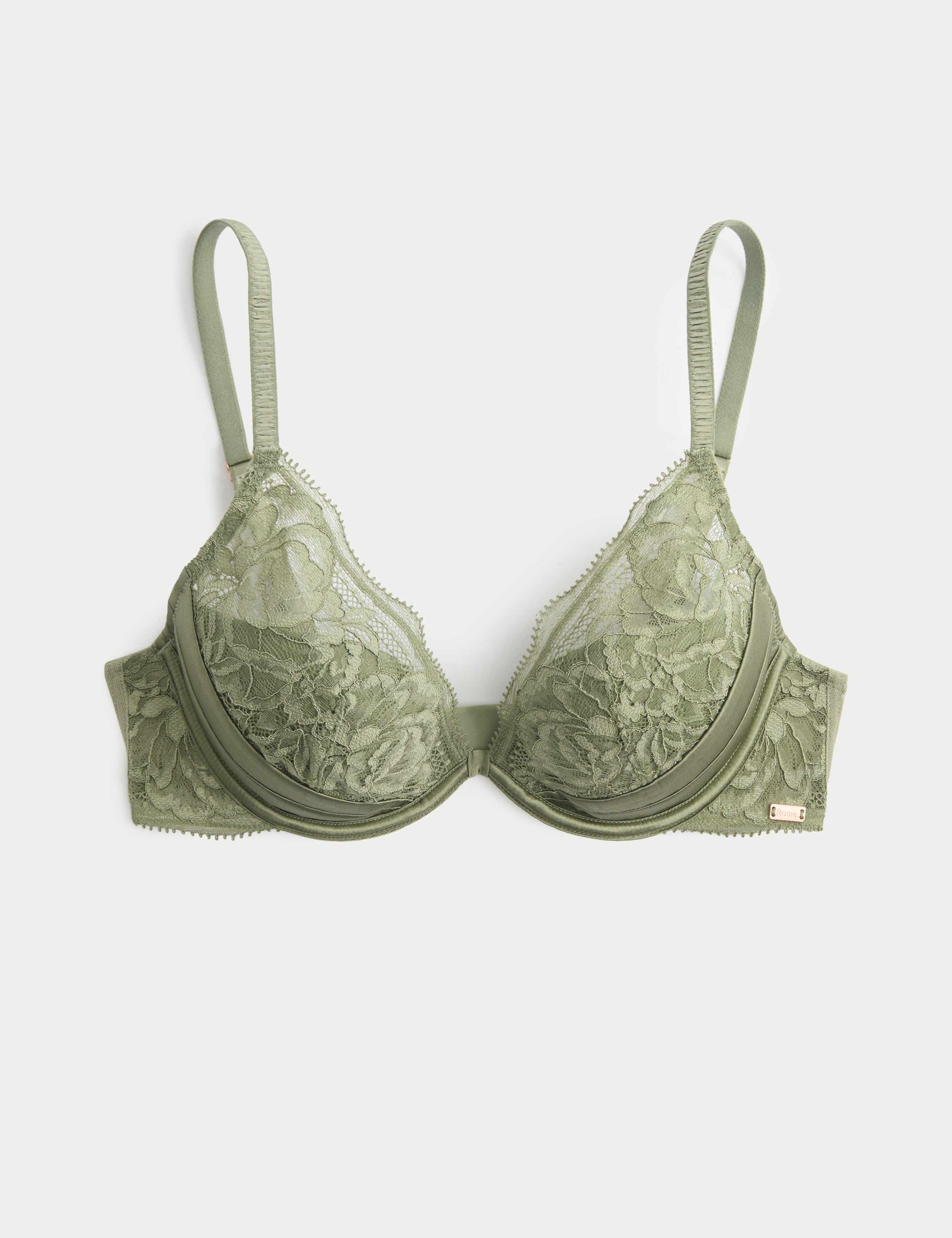 Silk & Lace Wired Plunge Bra A-E