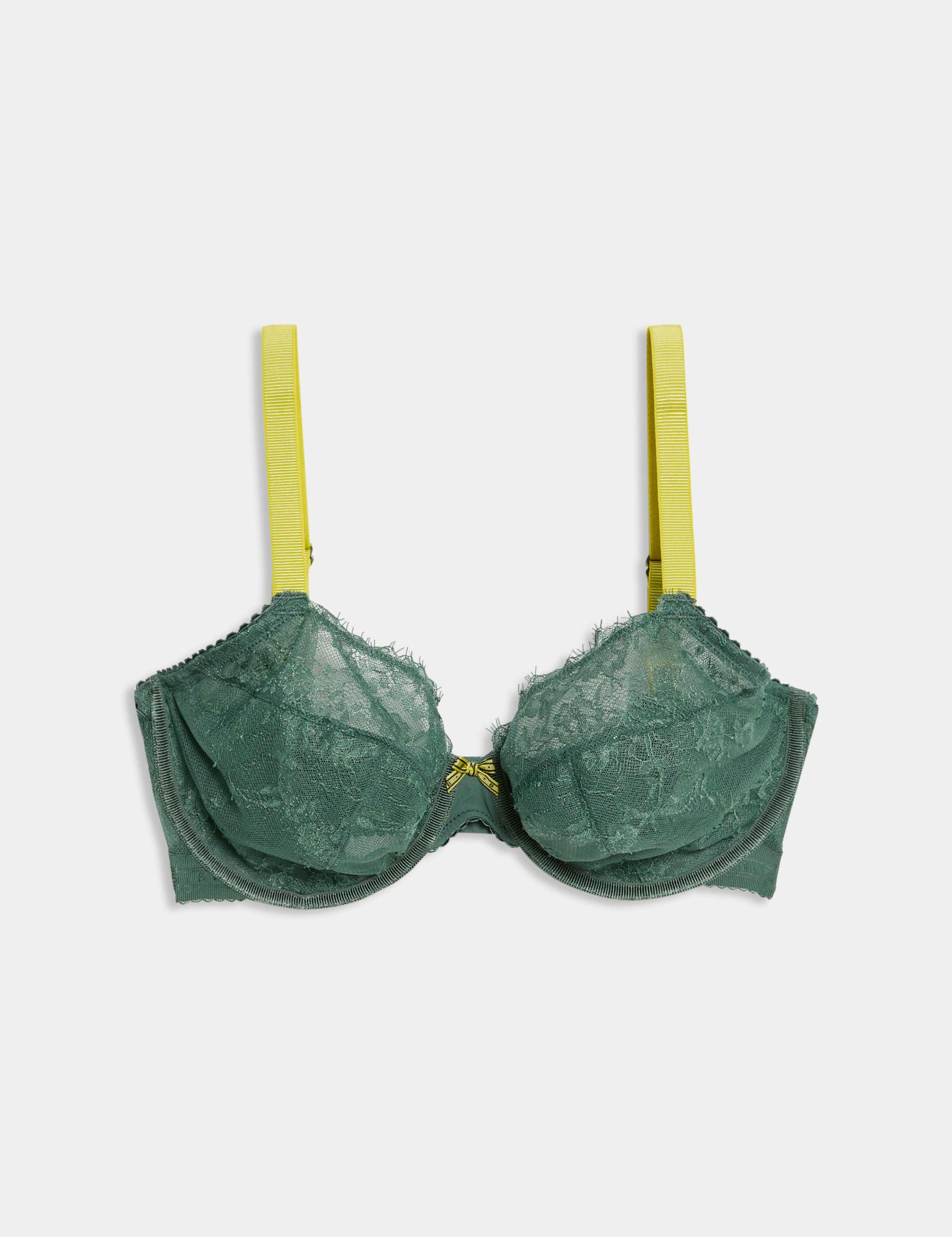 Anna Lace Wired Plunge Bra (F-H)