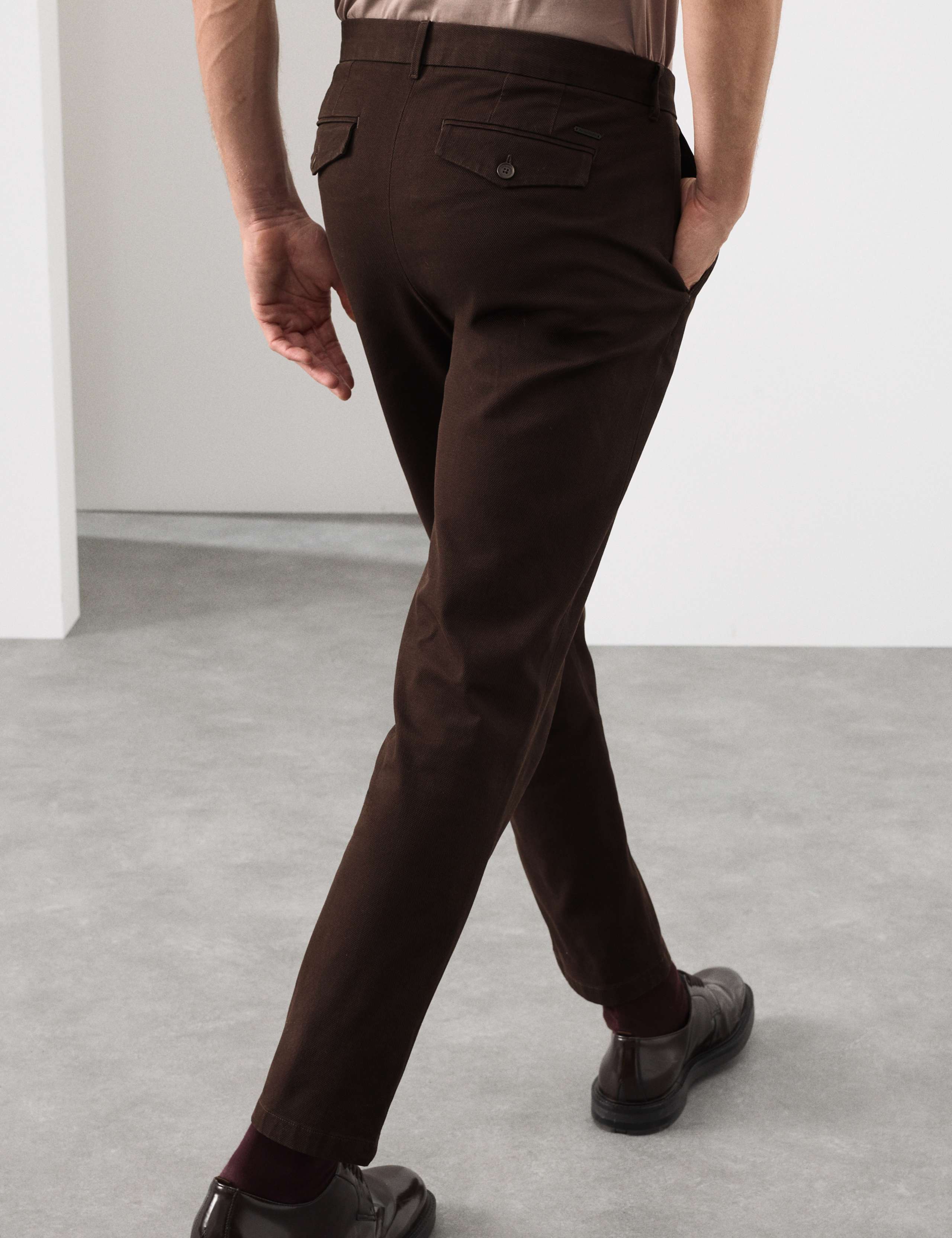 Regular Fit Textured Dobby Pleat Front Chinos