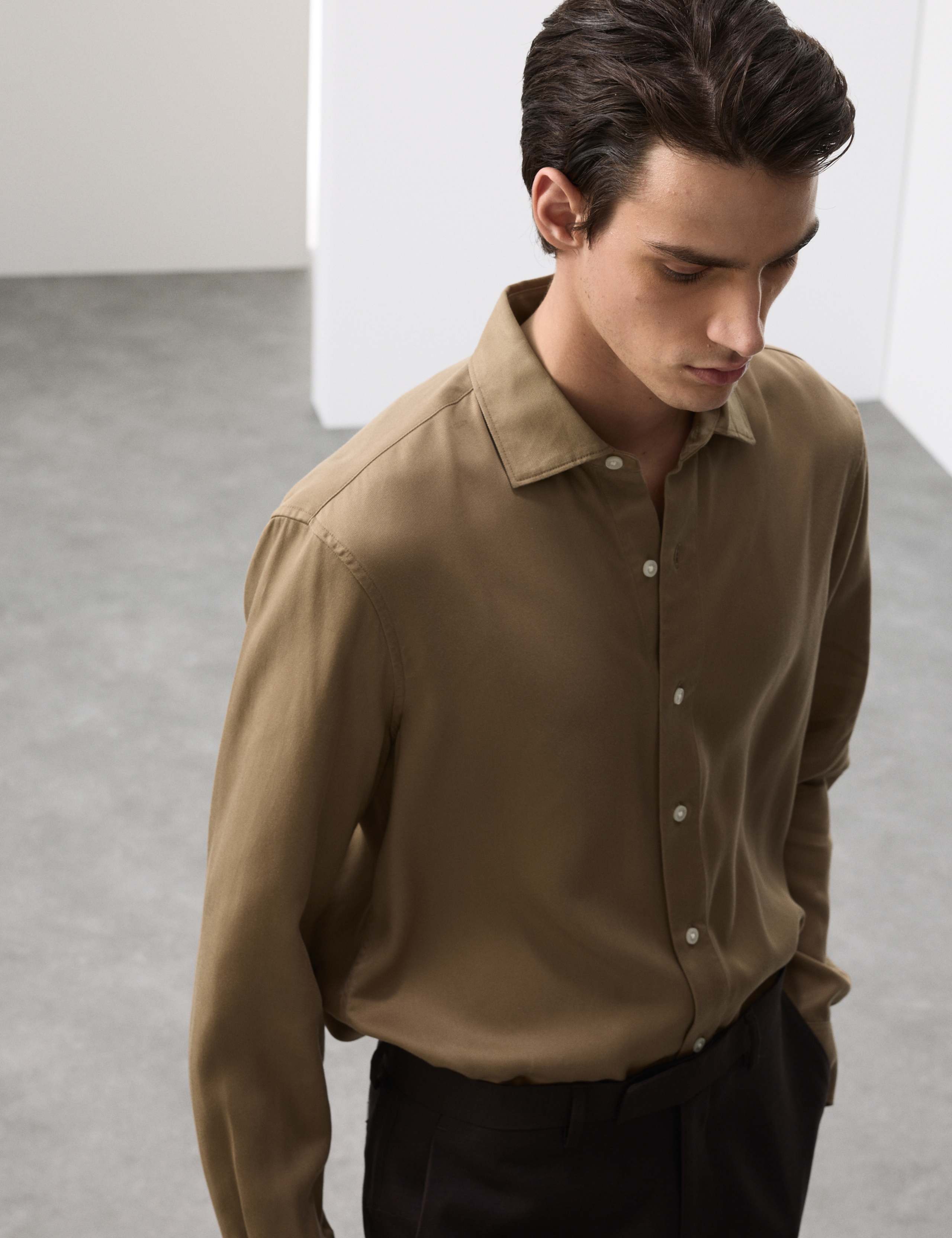 Regular Fit Easy Iron Long Sleeve Shirt