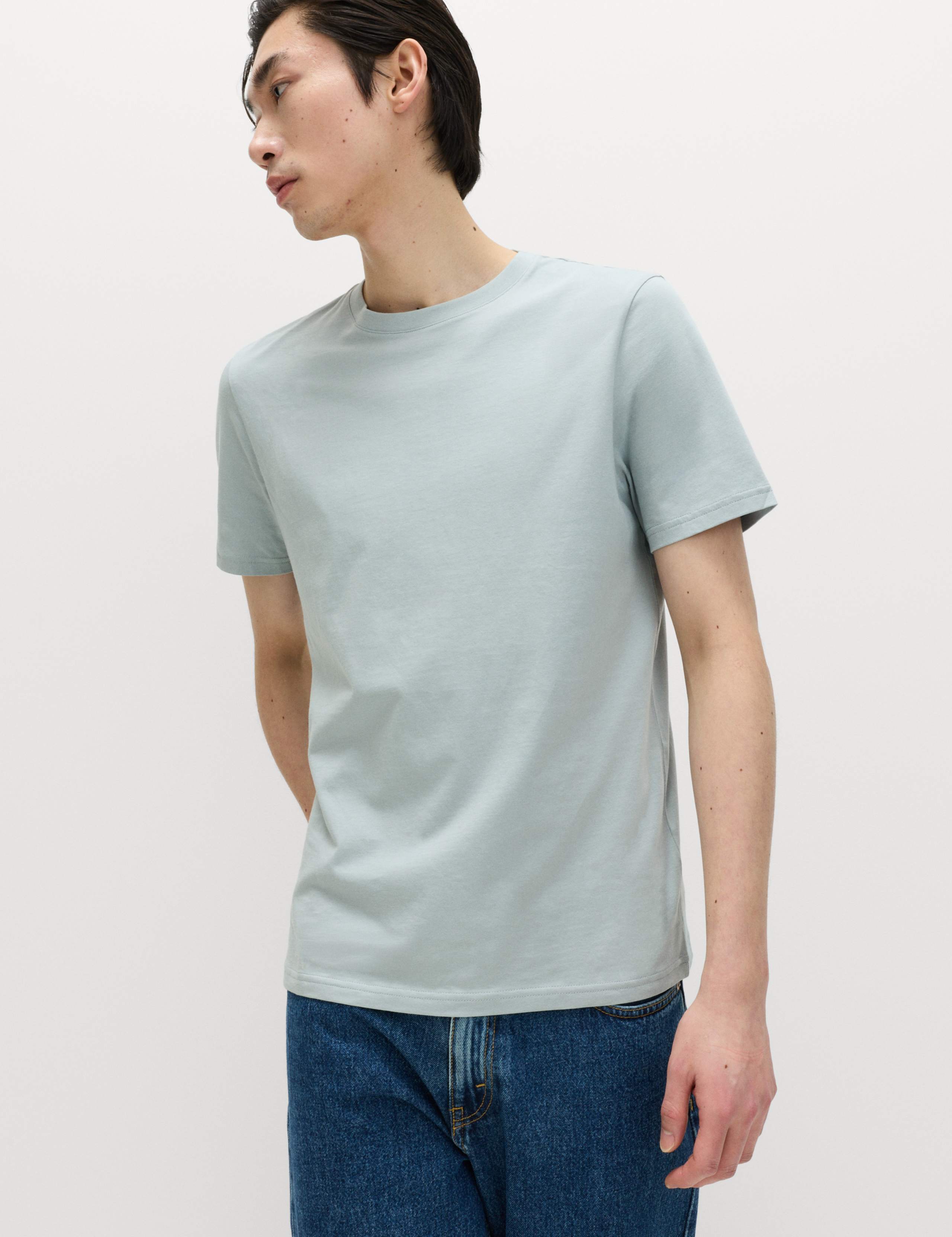 Regular Fit Pure Cotton Crew Neck T-Shirt