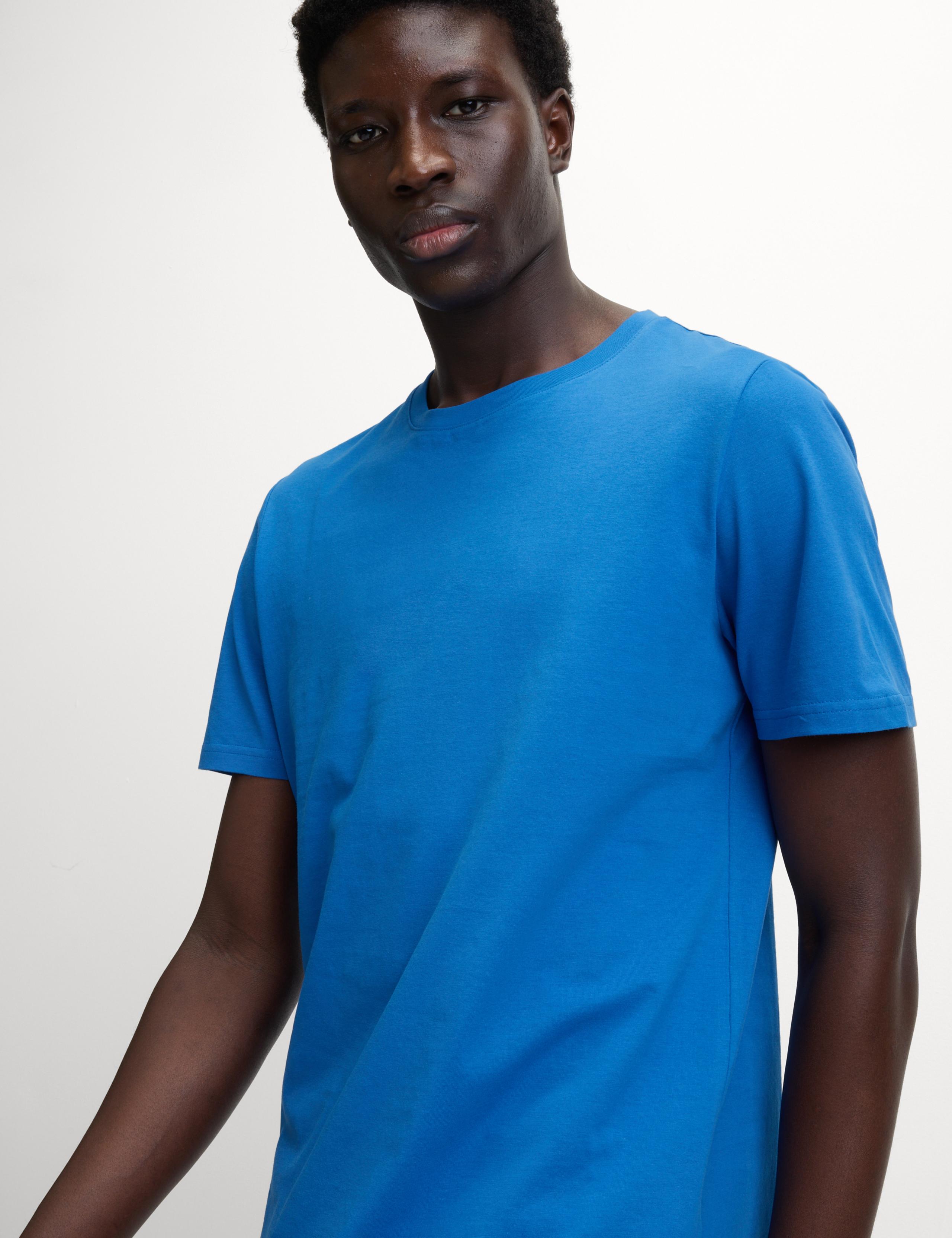 Regular Fit Pure Cotton Crew Neck T-Shirt