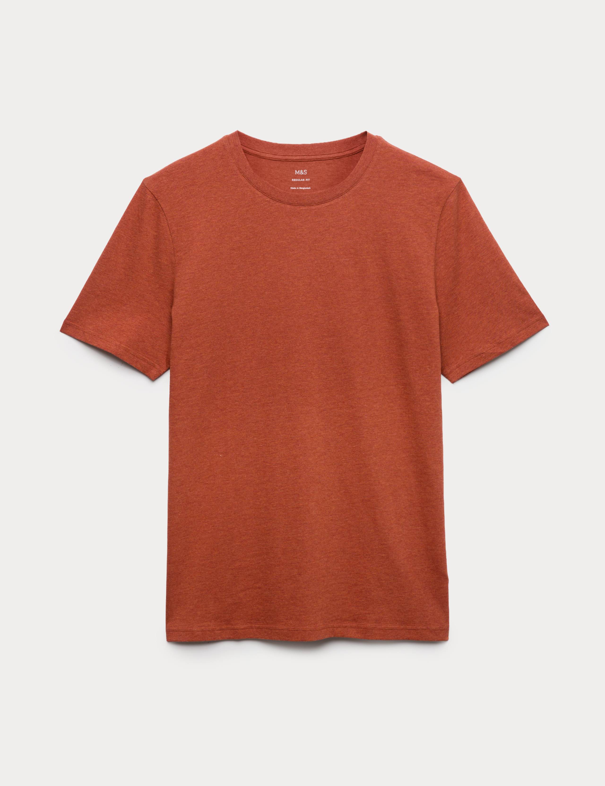 Regular Fit Pure Cotton Crew Neck T-Shirt