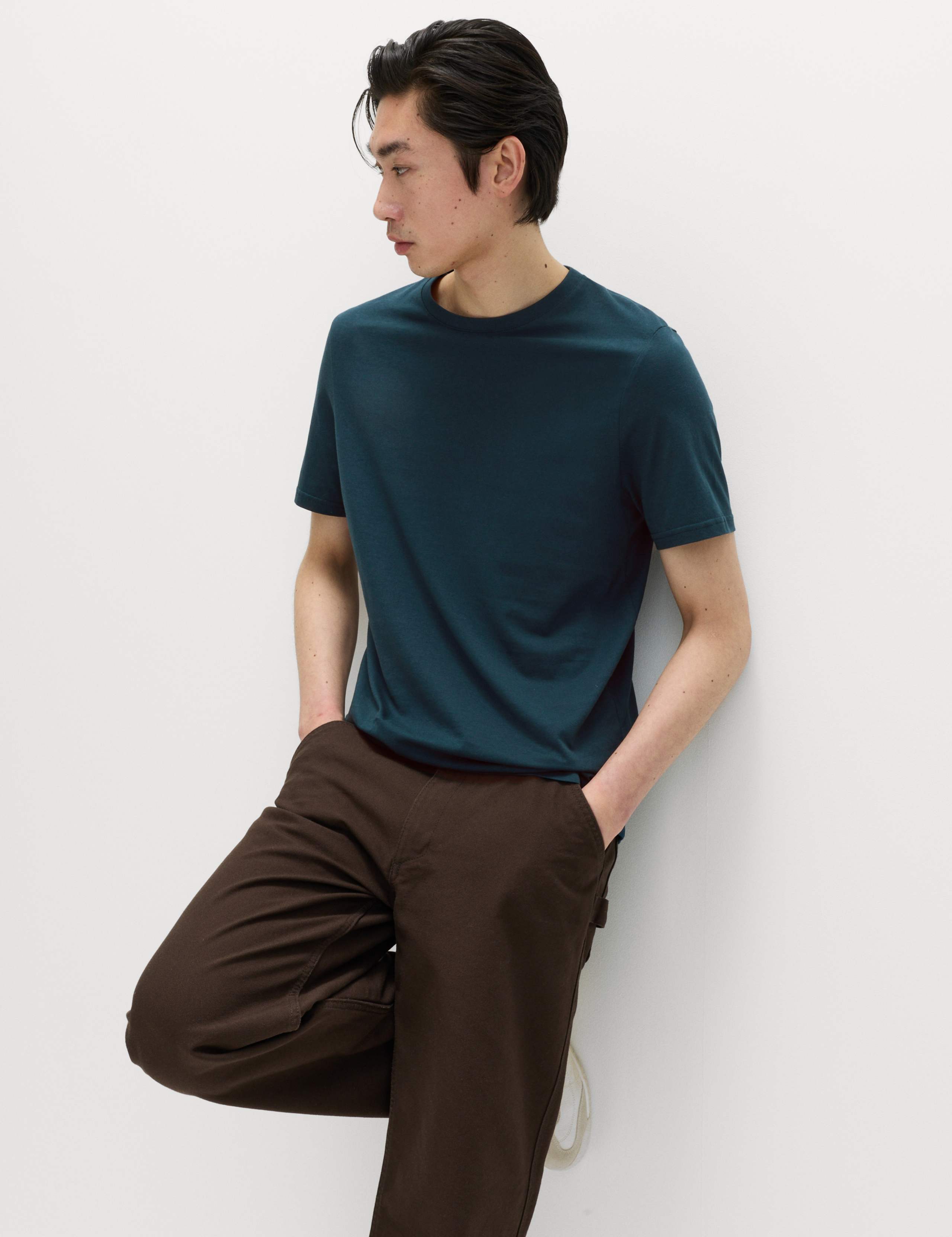 Regular Fit Pure Cotton Crew Neck T-Shirt