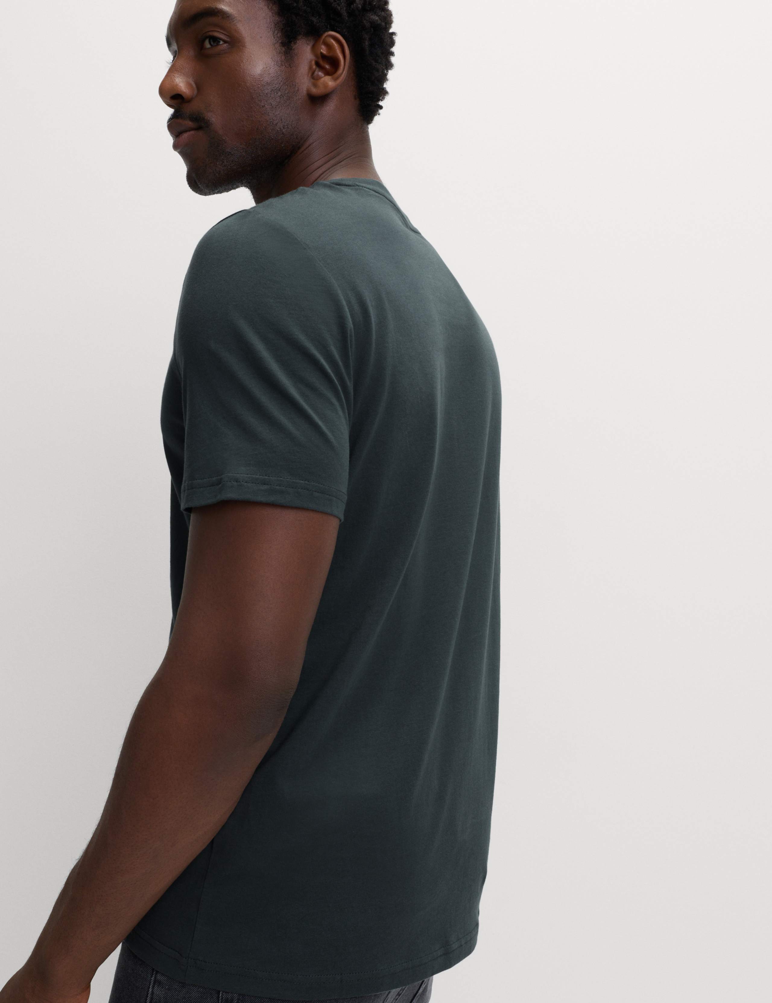 Regular Fit Pure Cotton Crew Neck T-Shirt