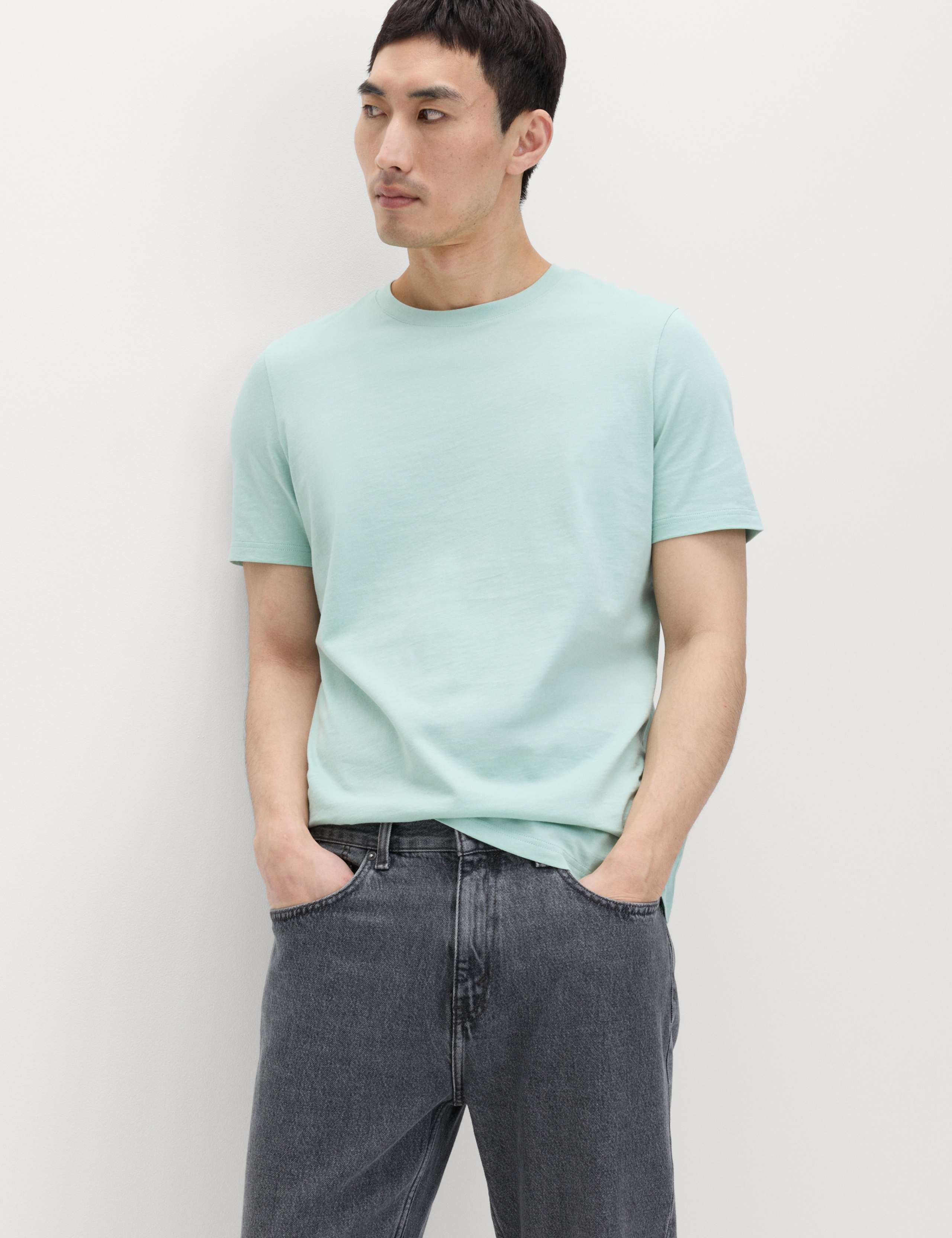 Regular Fit Pure Cotton Crew Neck T-Shirt