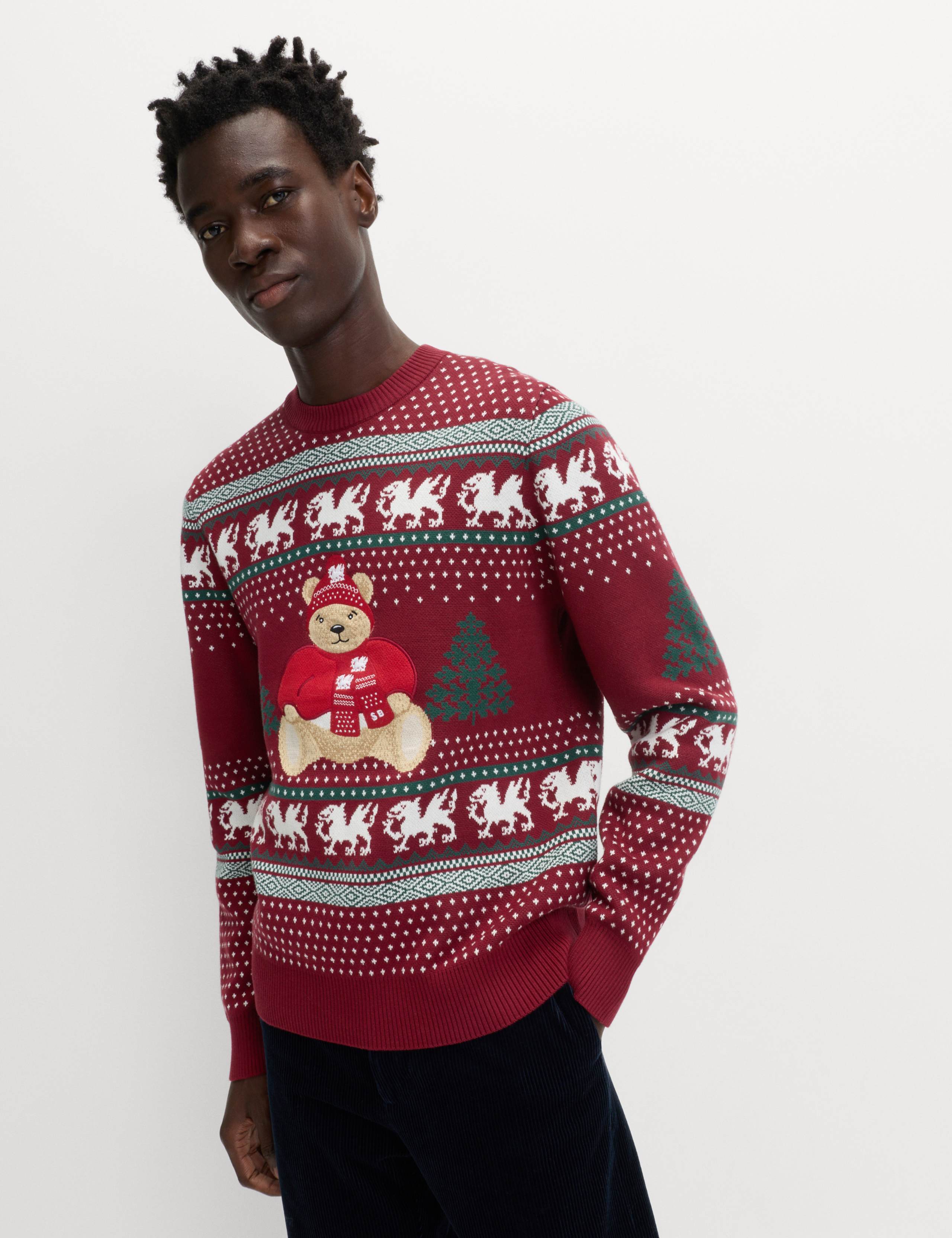 Pure Cotton Spencer Bear™ Wales Jumper