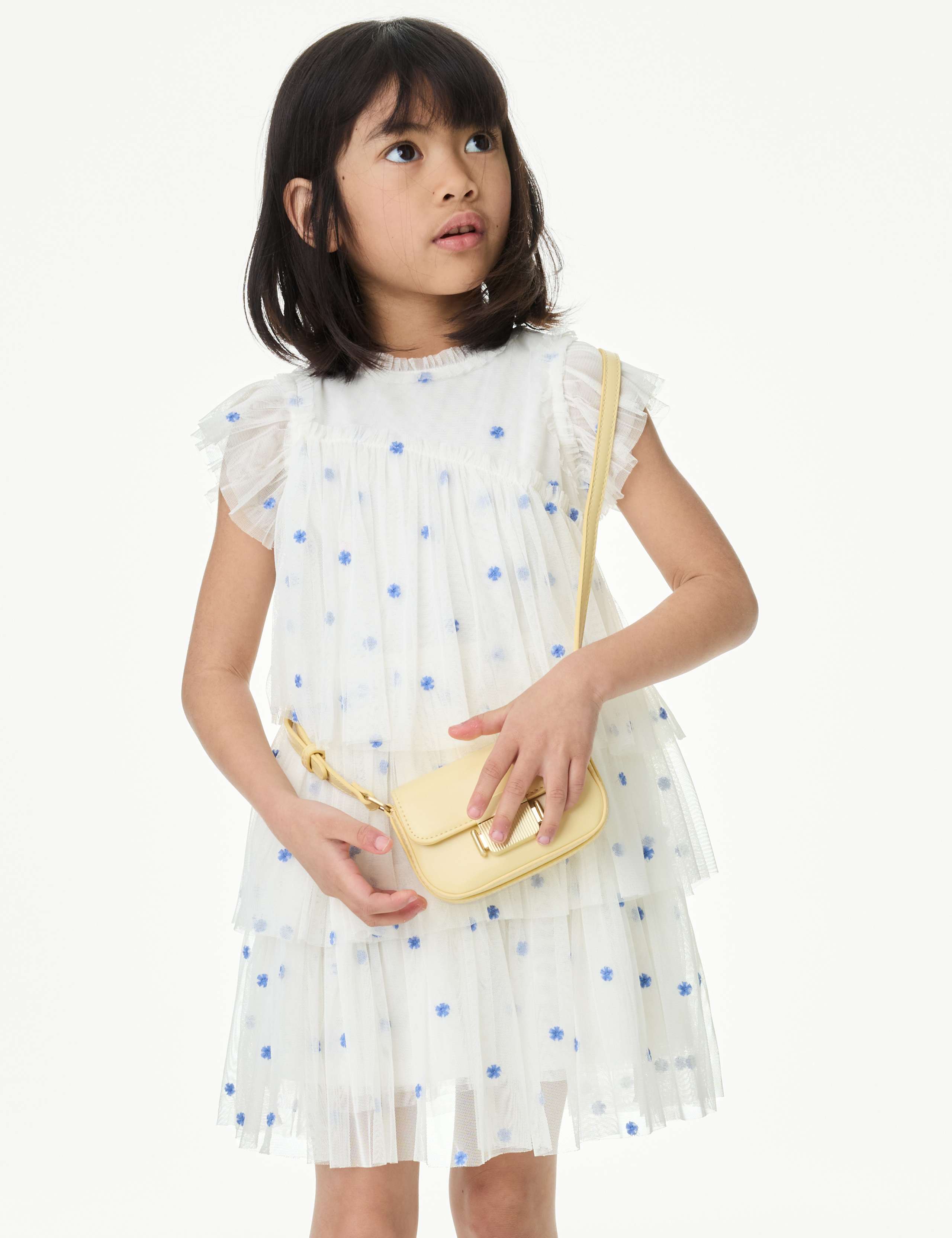 Embroidered Tulle Dress (2-16 Yrs)