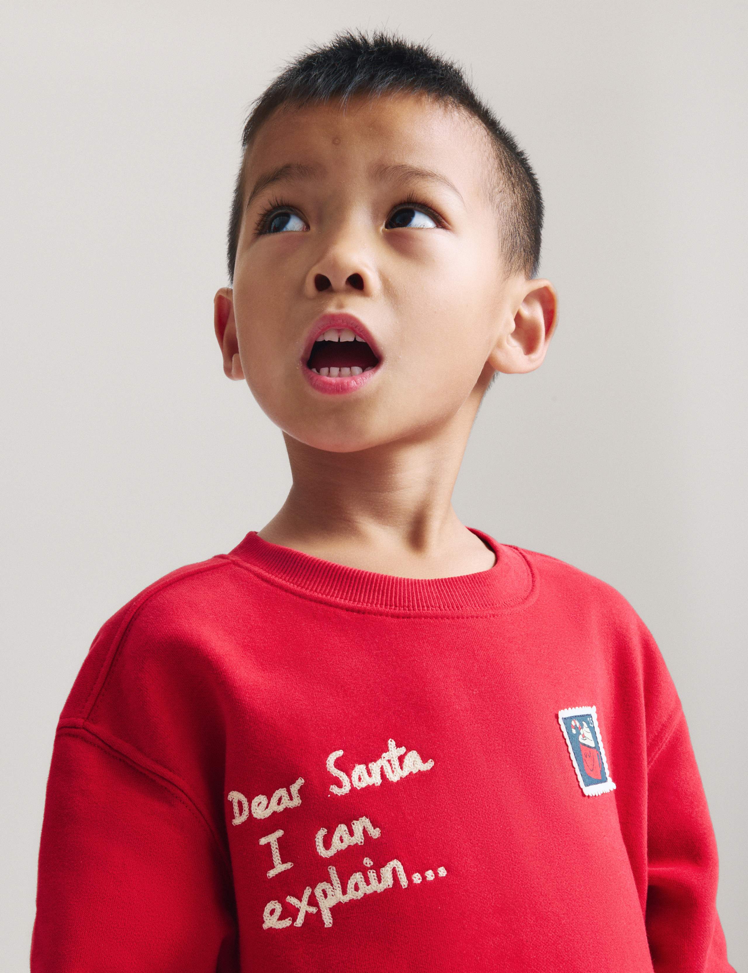 Cotton Rich Christmas Sweatshirt (2-8 Yrs)