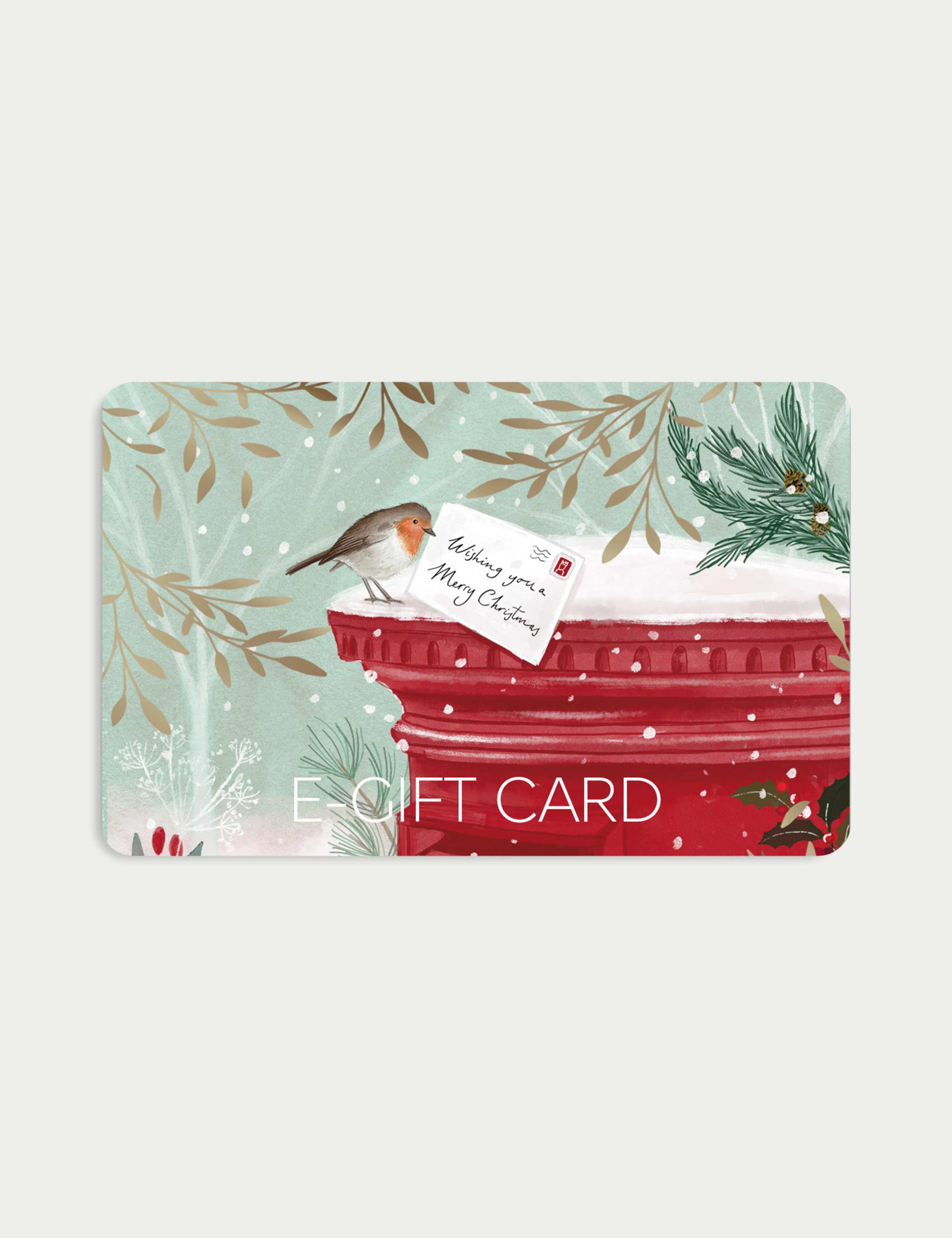 Christmas Robin Post Box E-Gift Card